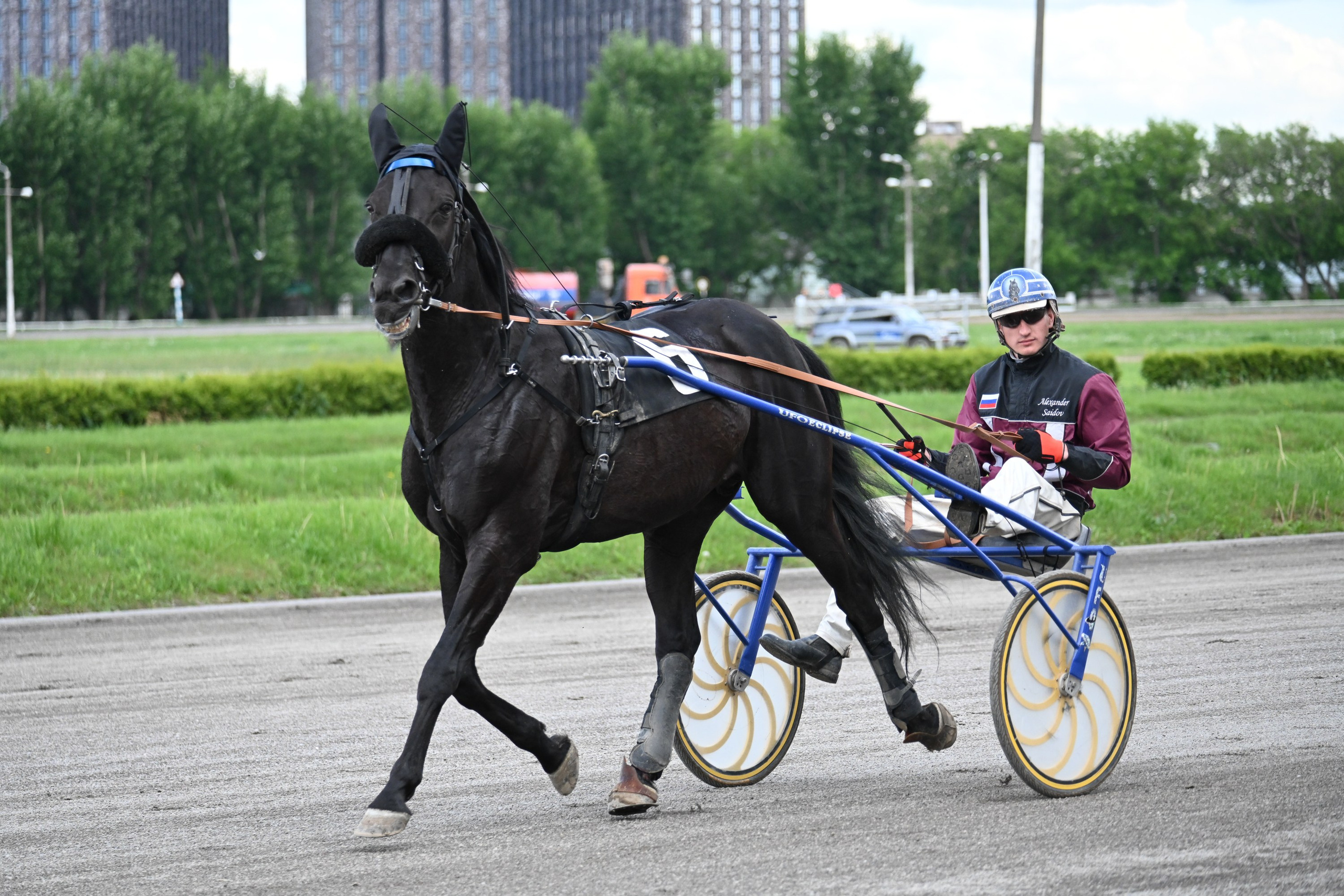 Ипподром (Москва). Fotolux