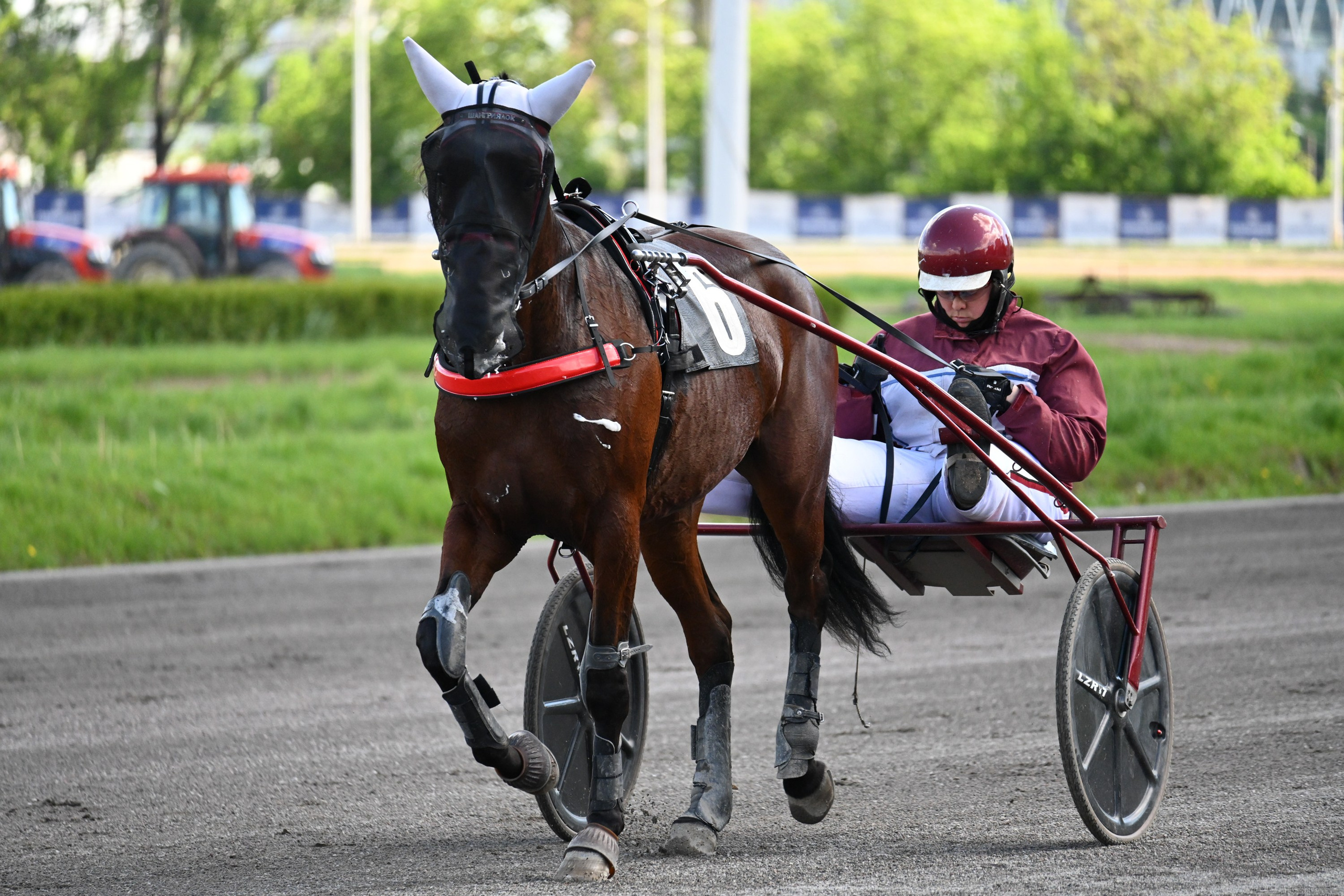 Московский ипподром. Fotolux