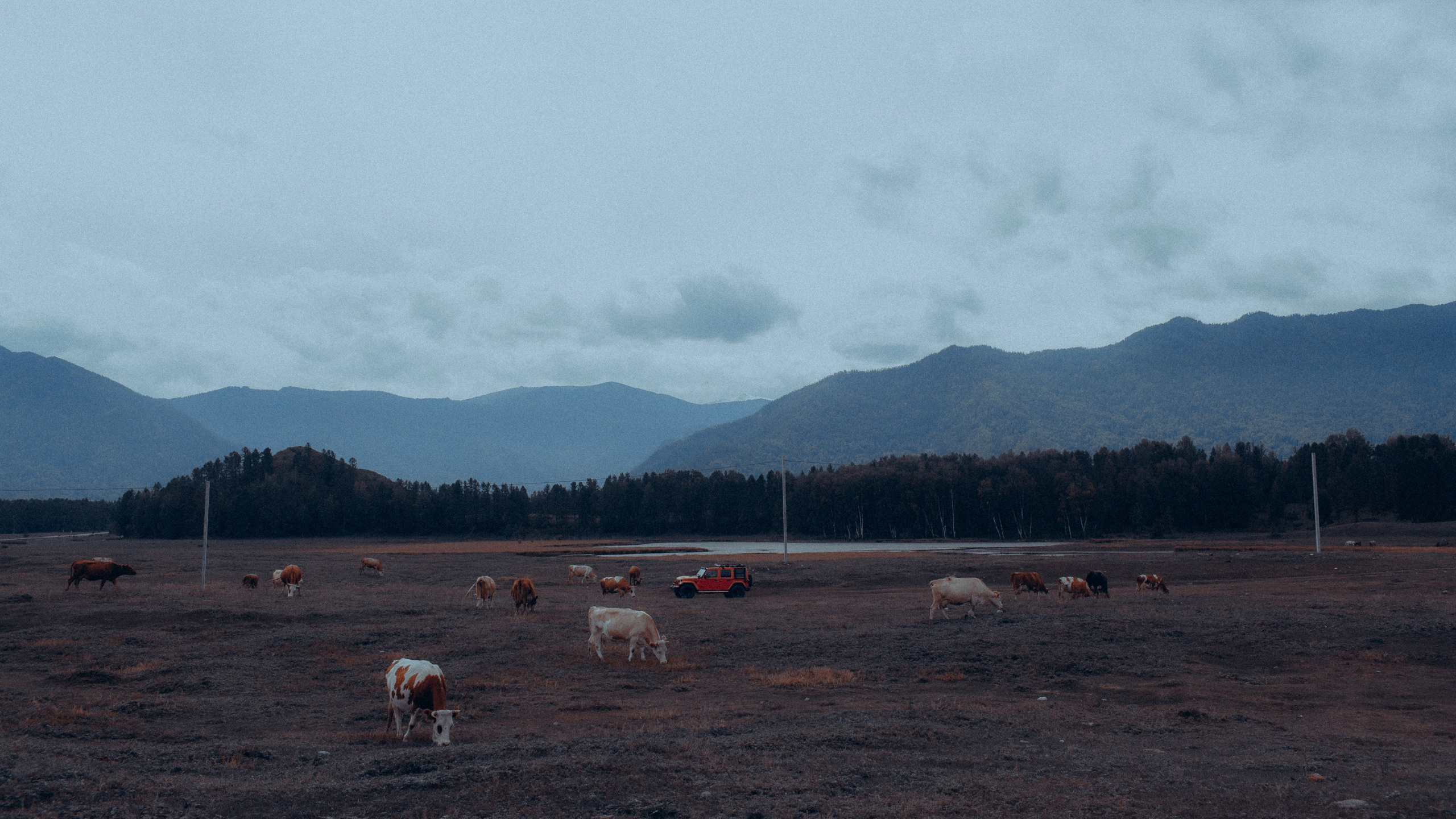 Мульта. Свадебный фотограф Артак Костанян