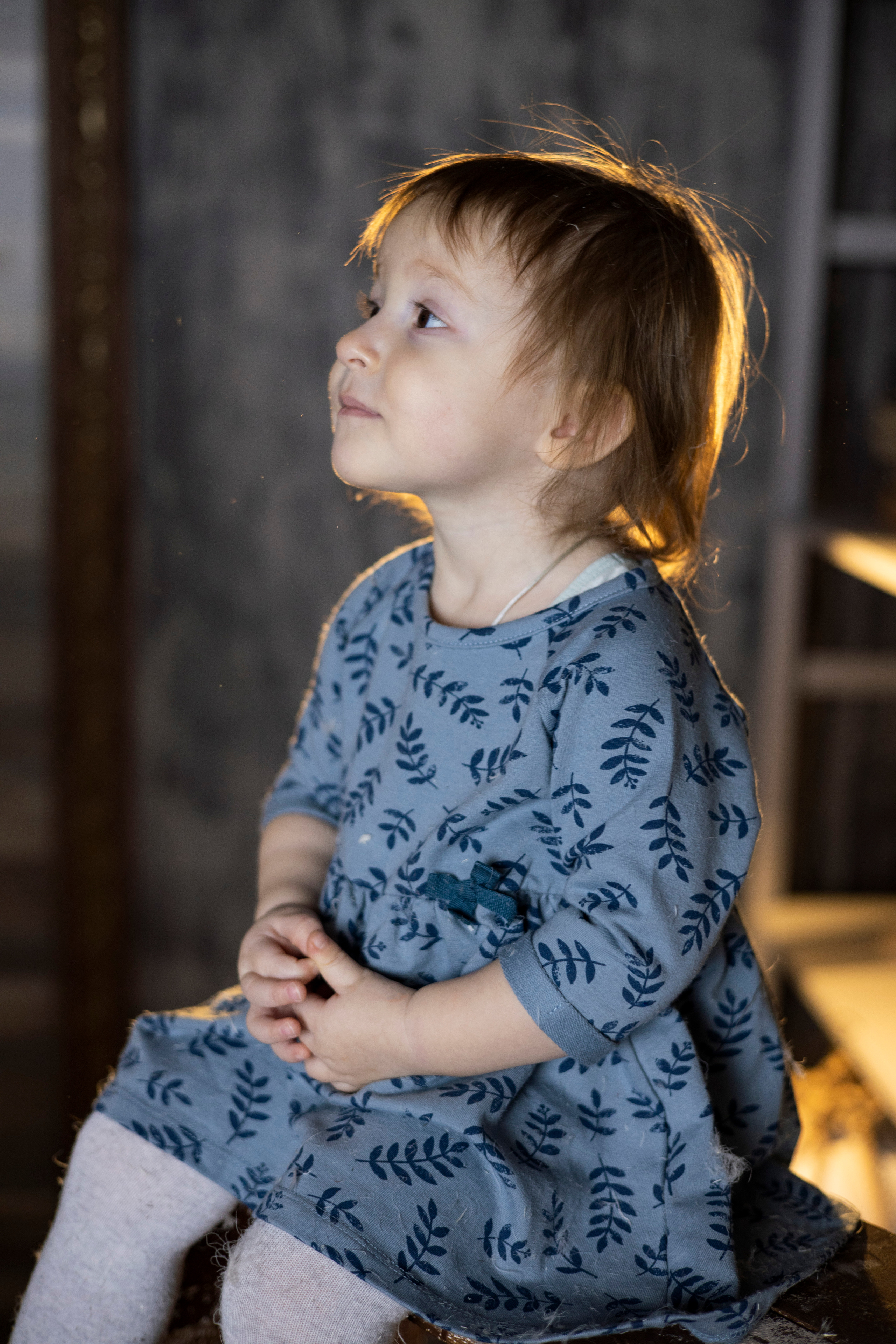 Шоколад фотостудия. Юрий Белозёров фотограф