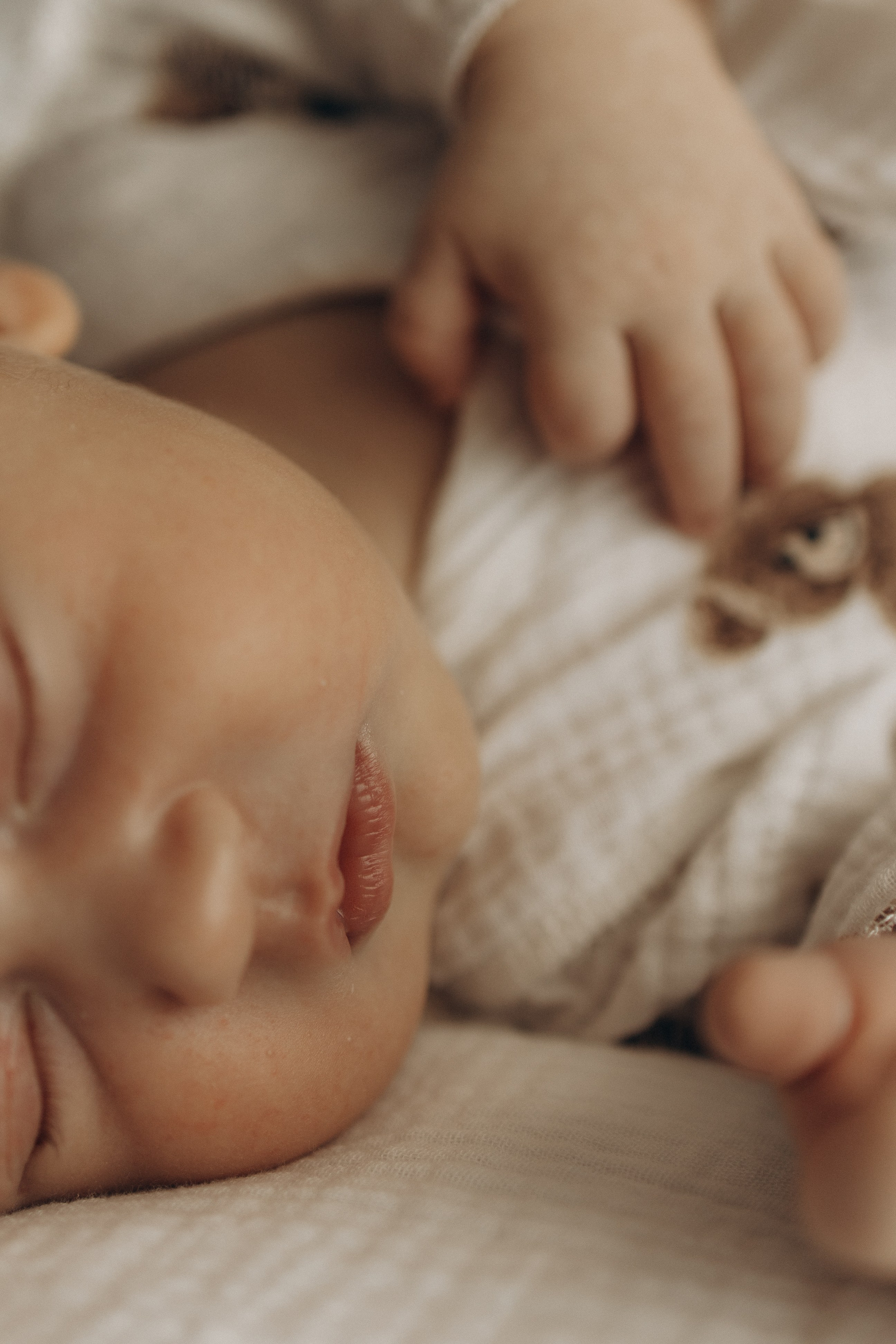 Домашние моменты. Самый теплый фотограф в Краснодаре Рябоконь Ксения