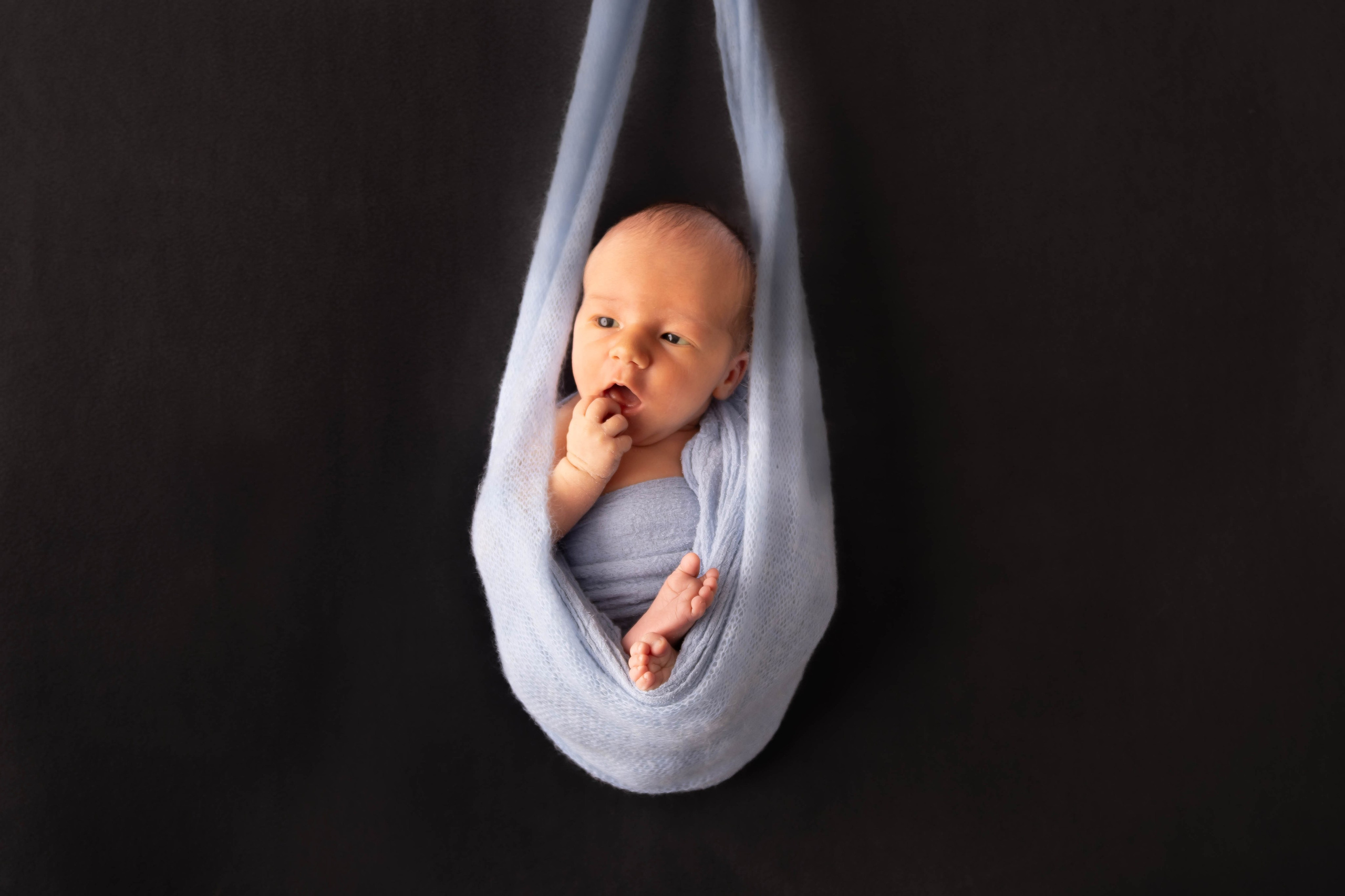 Контакты. Violinn.Photo