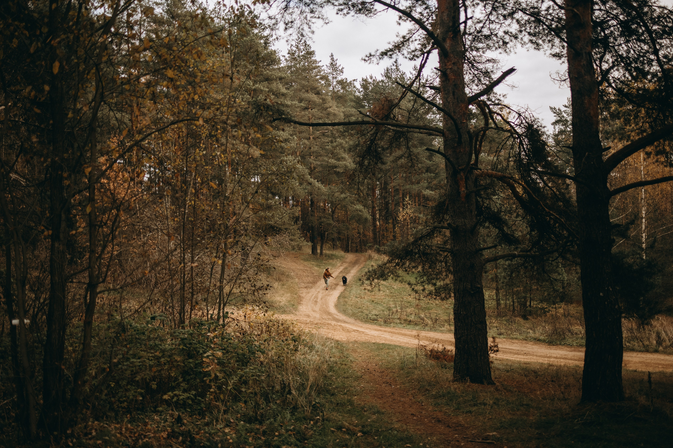 Лора и Джанго. Фотограф — Анималист | Санкт-Петербург