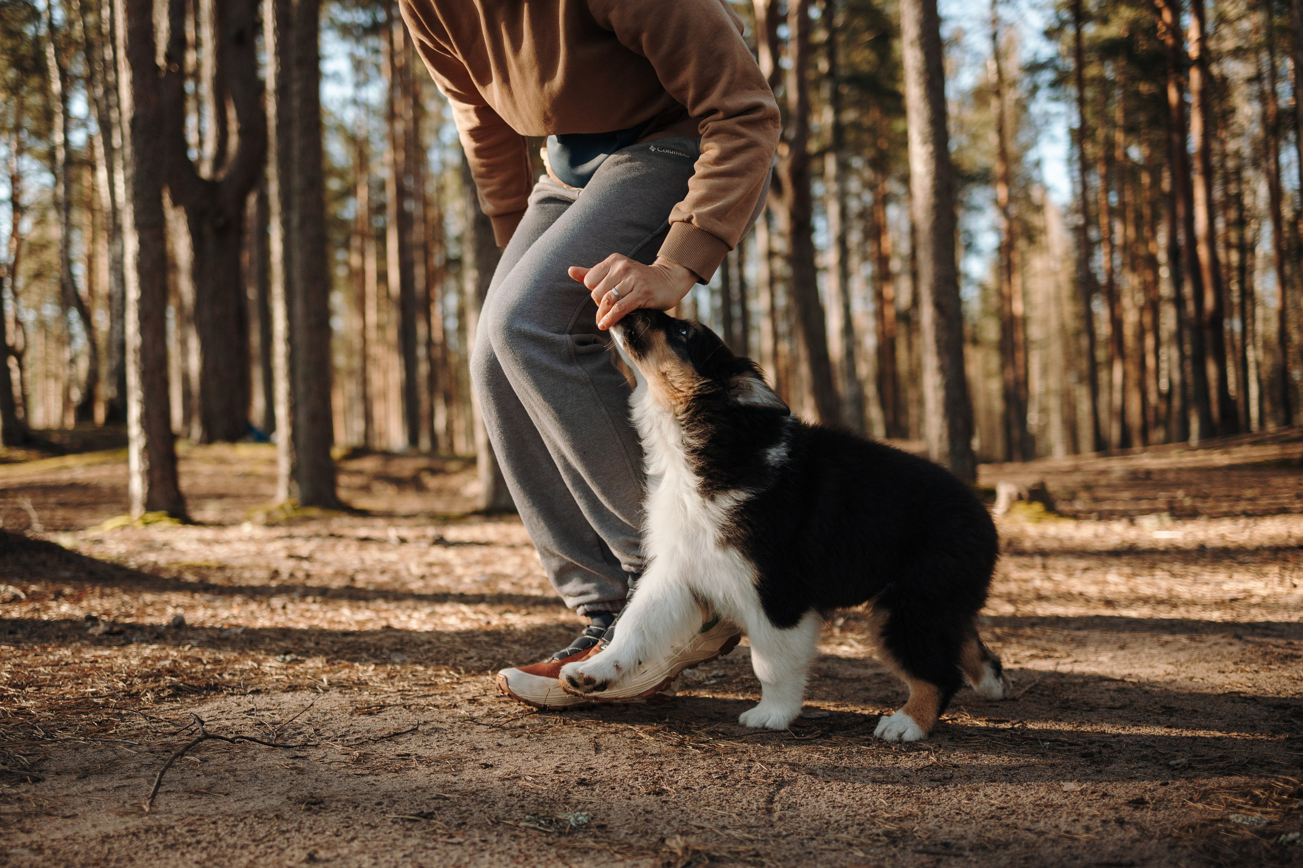 Ира и Шмель. Фотограф — Анималист | Санкт-Петербург