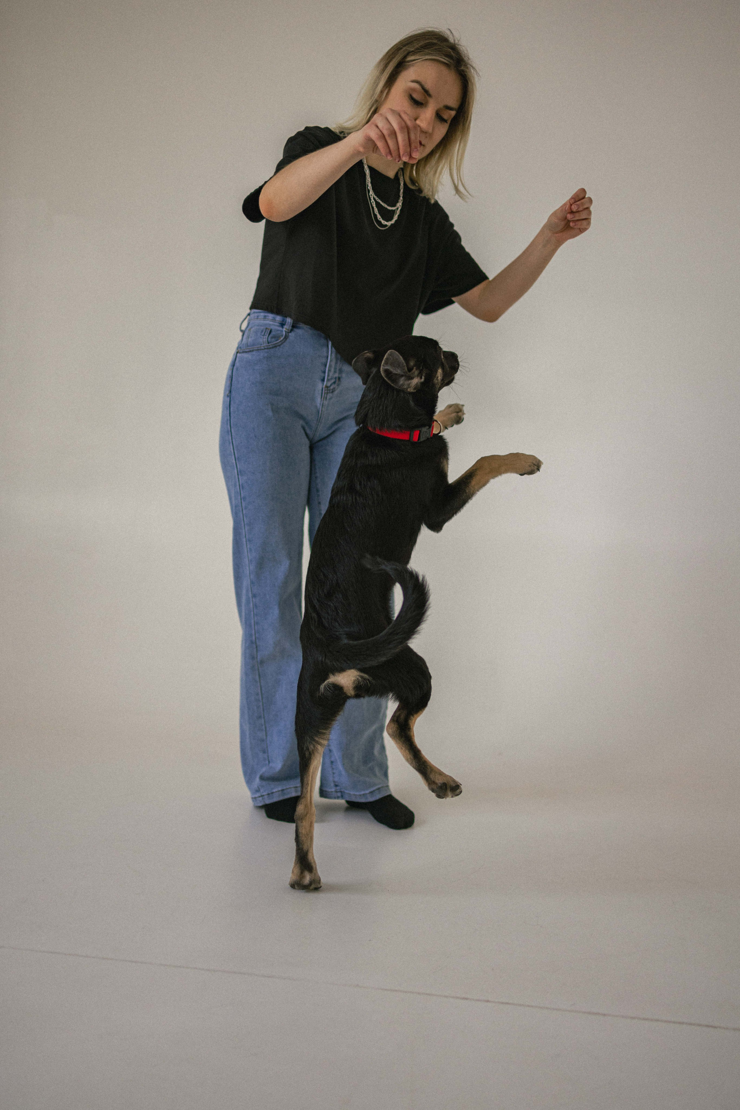 Крис и Тэдди. Фотограф-анималист в Москве Лера Черноног