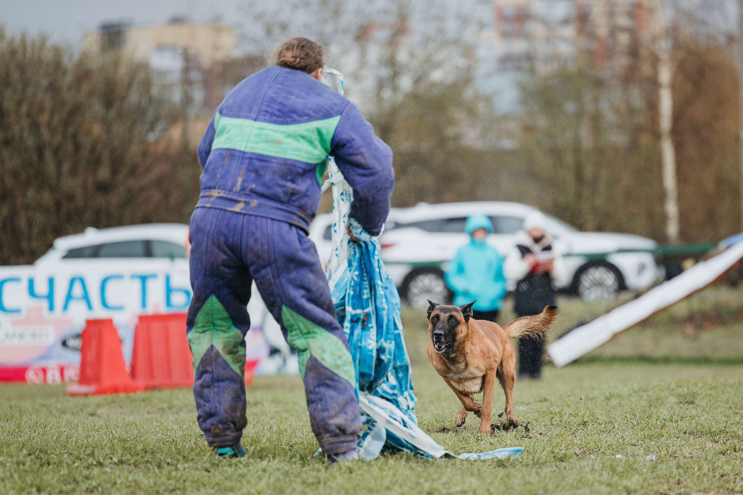 09.05.25 Вологда соревнования. Фотограф-анималист Анна Маринич