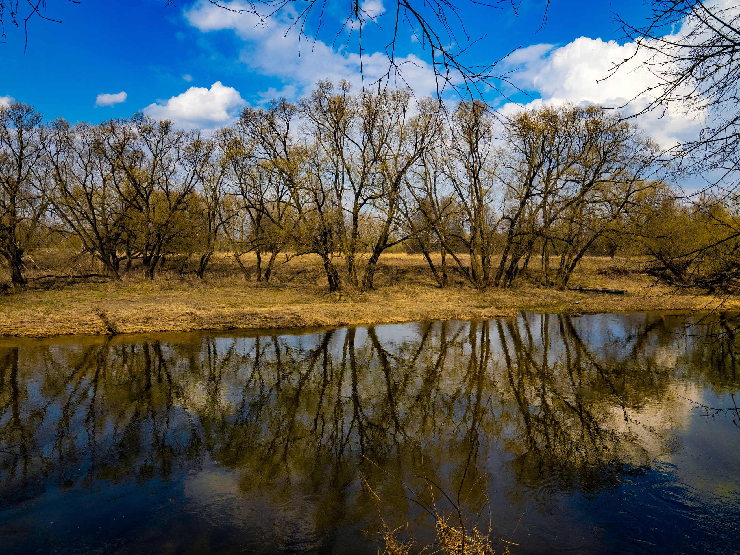 Хулиганизмы. Главная