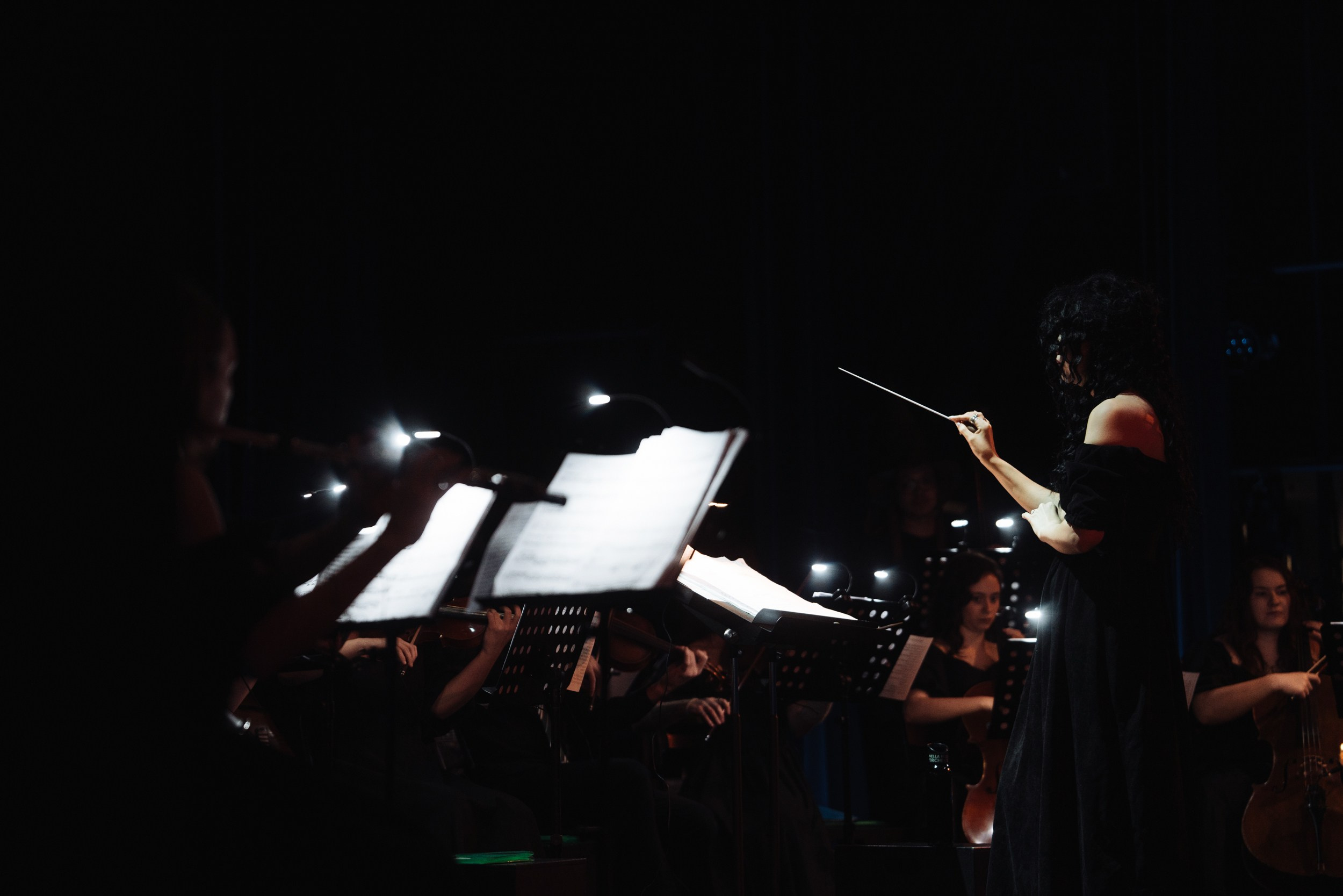 Симфомультимедия × Nella Musica Оrchestra