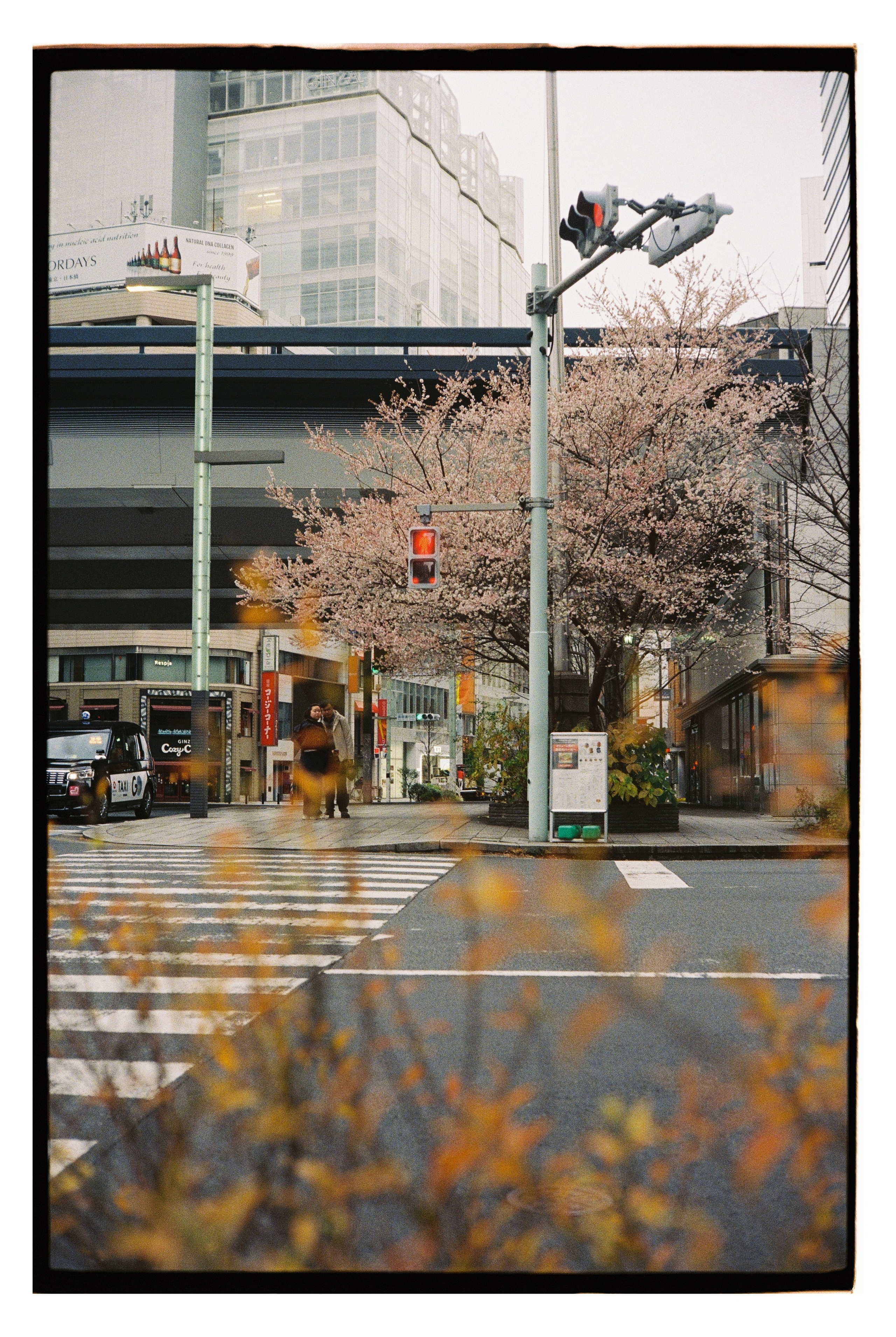 Japan. @tomrus: Рустам Шагиморданов — фотограф