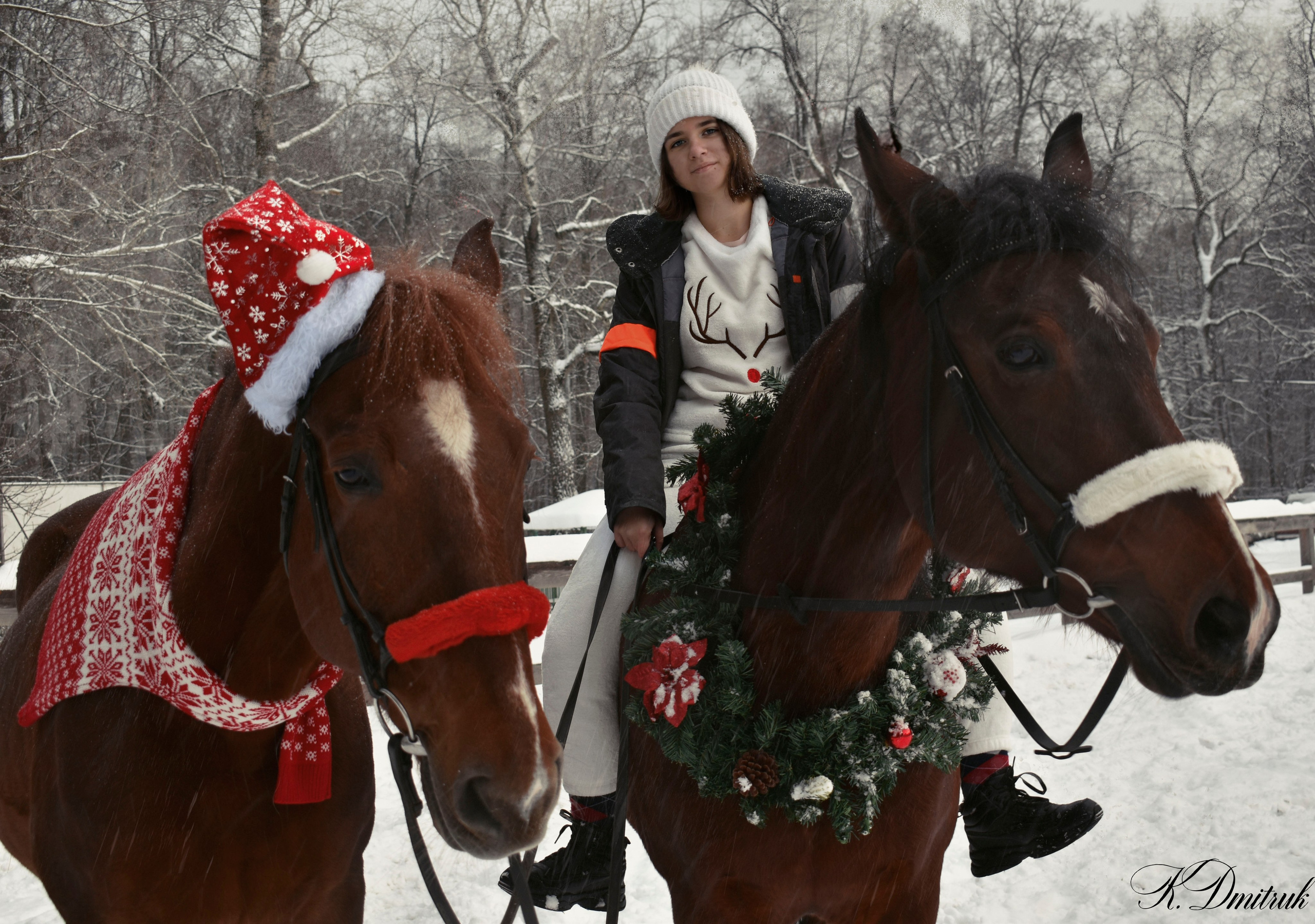 Настя. Зимний сон. Конный фотограф Москва