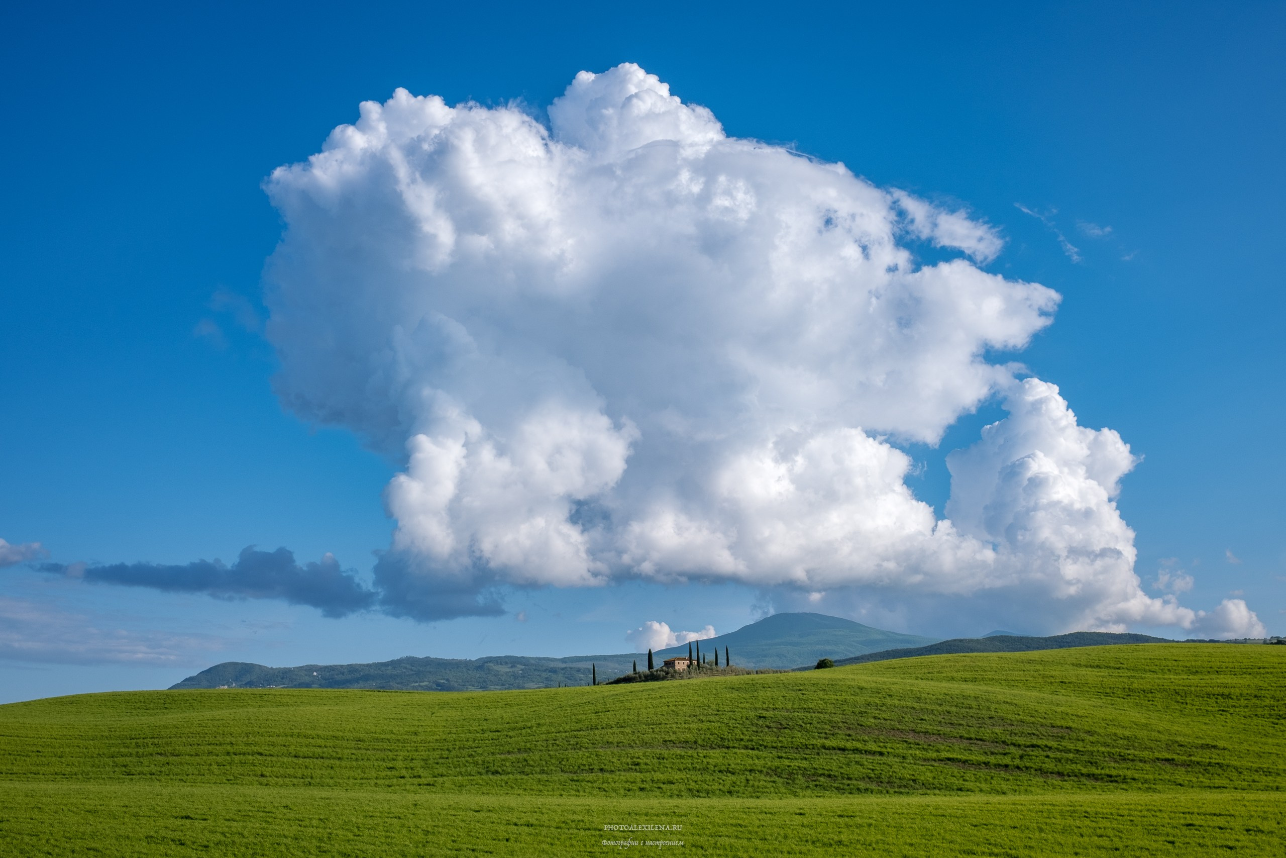 Авторская фотография для интерьеров