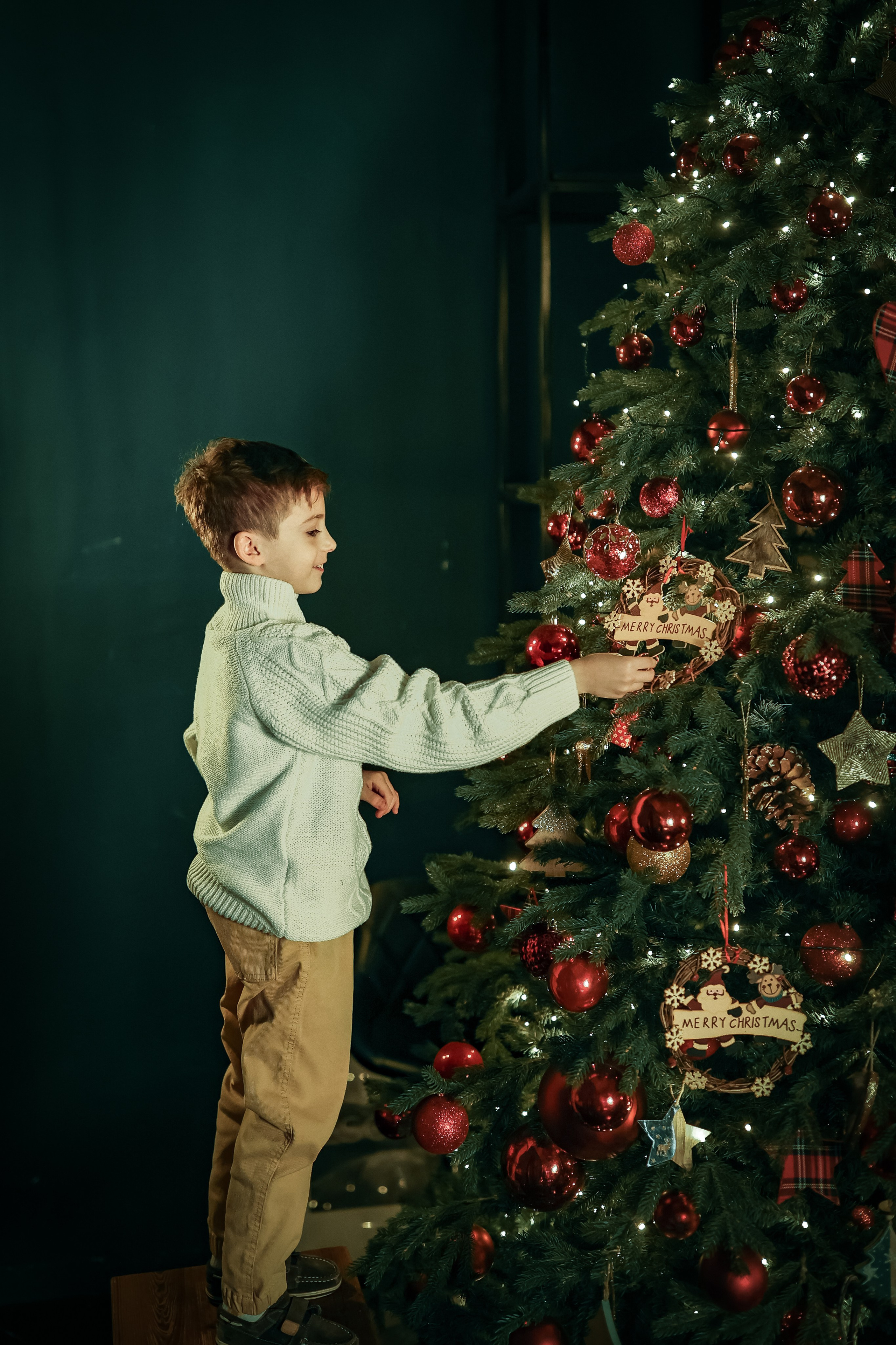 Новогодние фотосессии в студии и дома. Профессиональный фотограф в Москве, Подмосковье