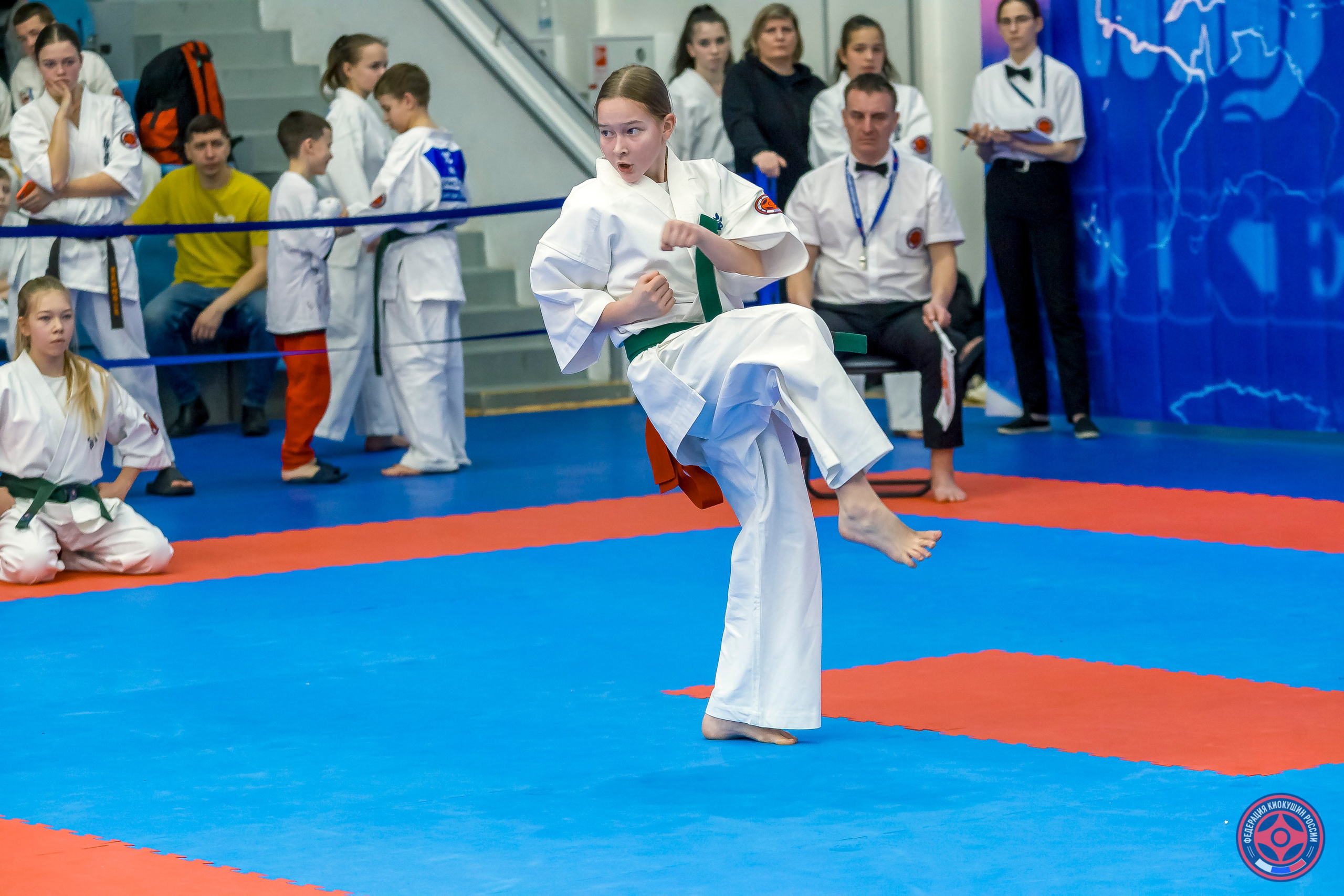 Международный турнир по киокушин «Открытый кубок Seiken». Репортажная съемка в Москве и области. Анималистика