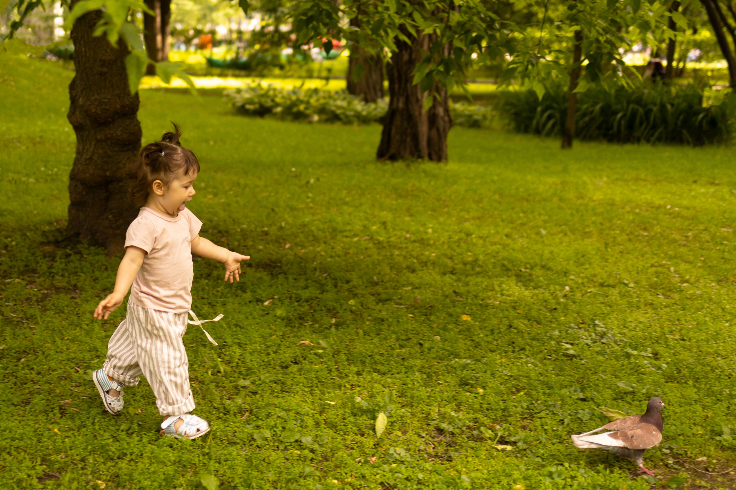 Boho wigwam (summer 2024). Семейный и детский фотограф, фотограф беременности, ньюборн в Москве
