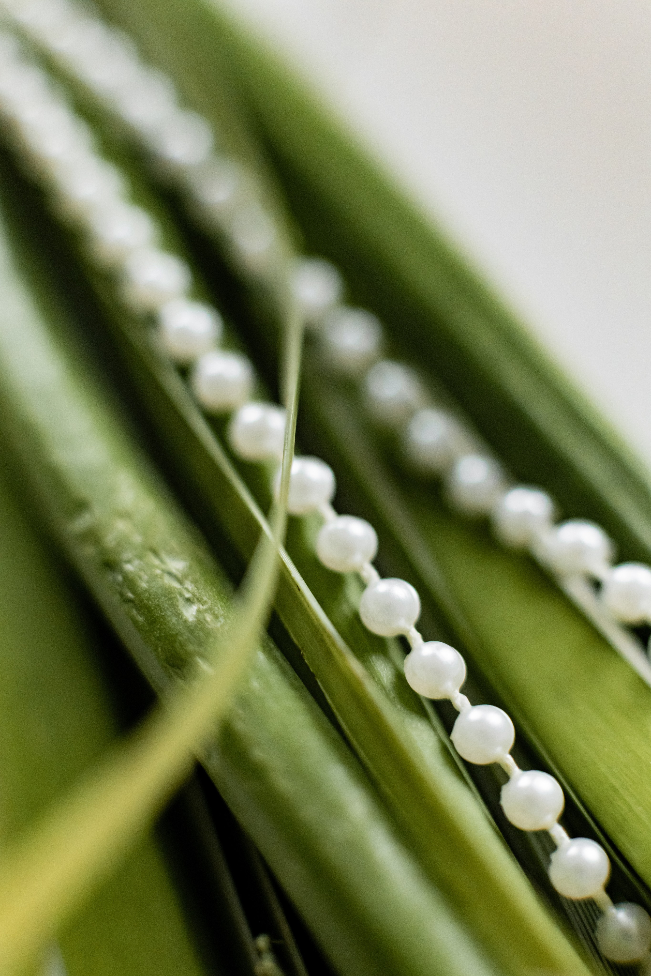 Валерия в студии «VENERA». Фотограф Белгород