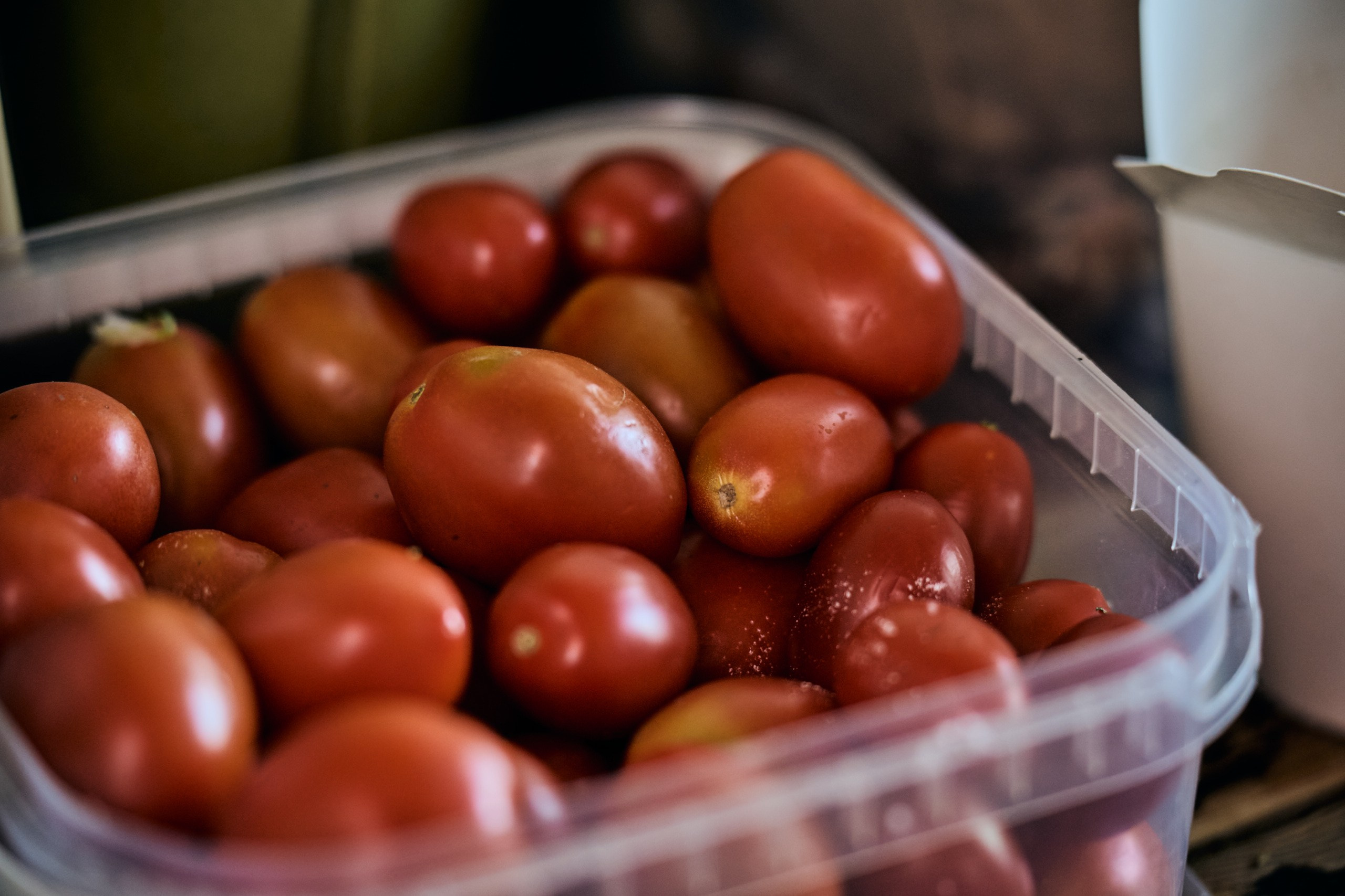 Приморские муссоны 27.09. Профессиональный репортажный фотограф Инесса Иминова