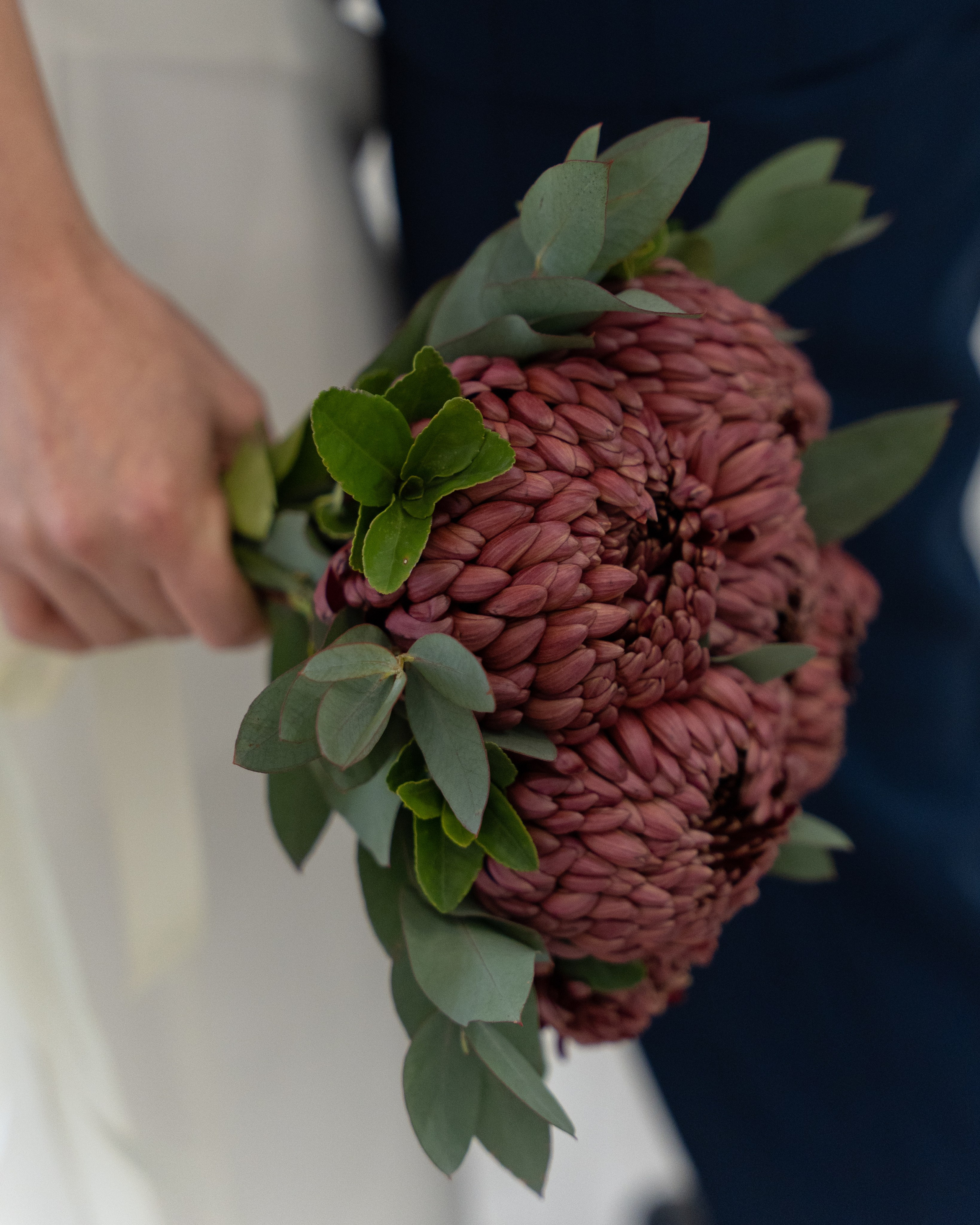 WEDDING. Главная