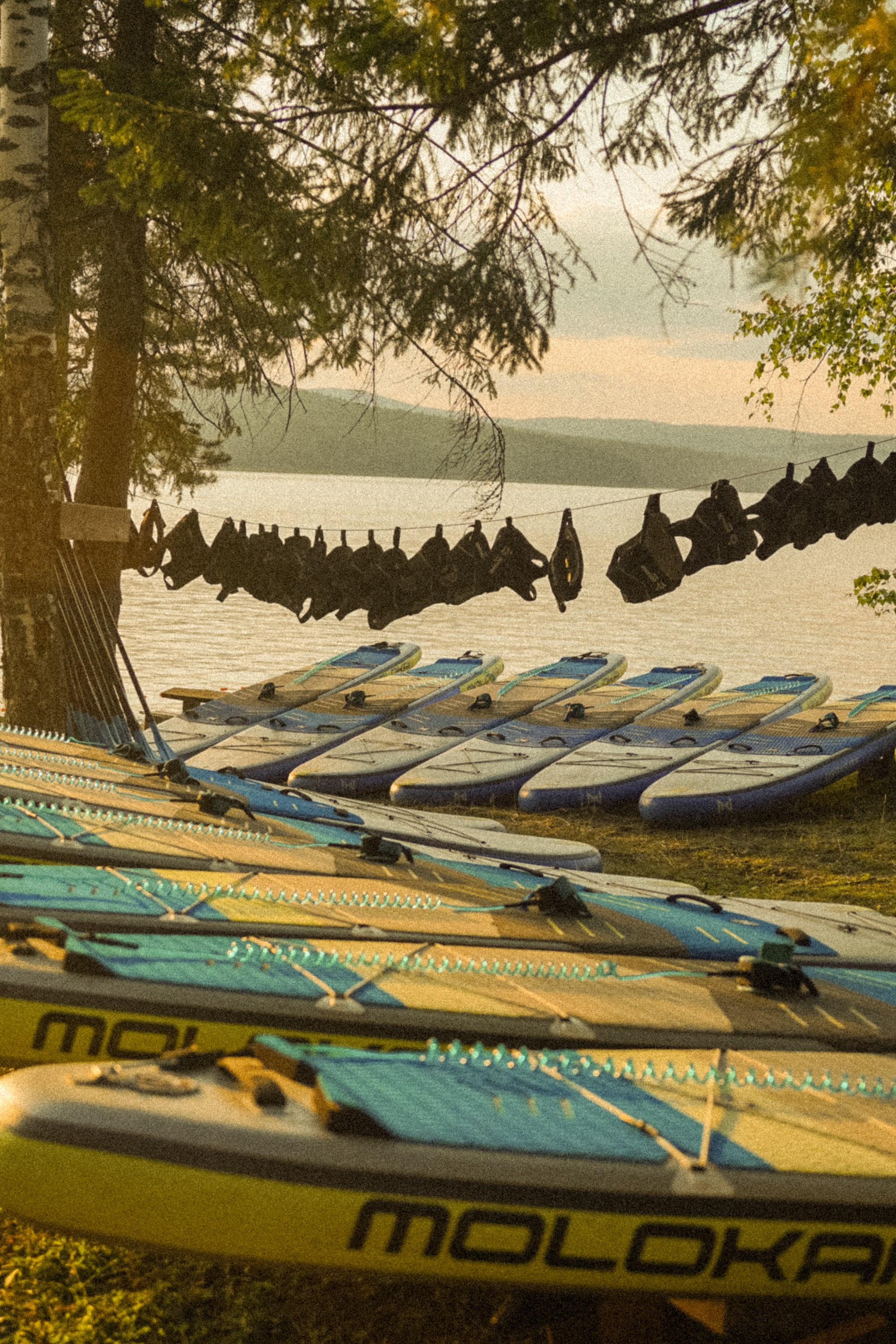 Бирюса 2025. Детали. Фотограф Кощеева Дарья