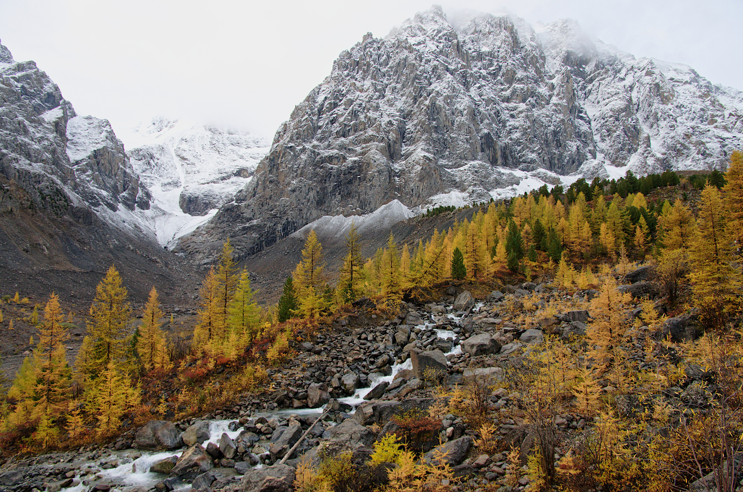 Алтай, осенний лес и заснеженные скалы утром в ущелье Актру