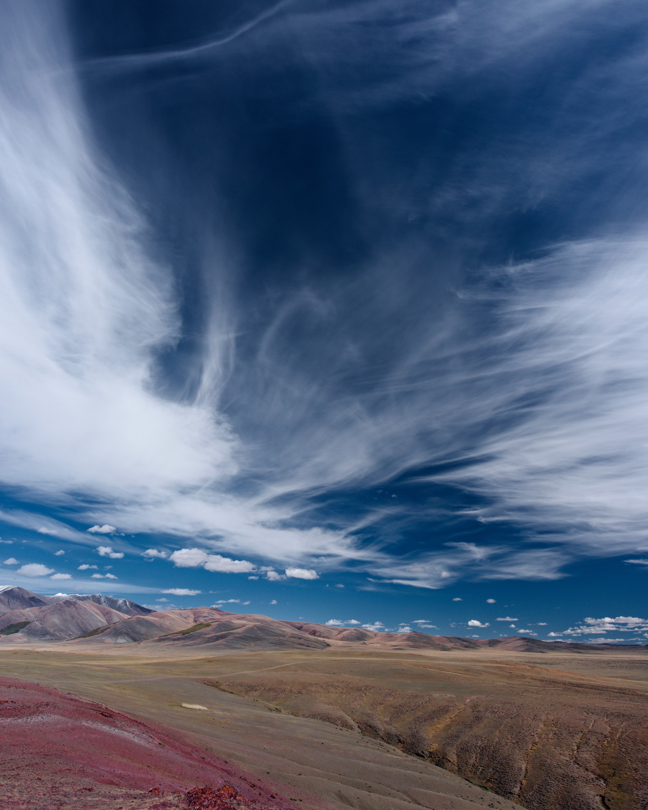 Вид на Чуйскую степь под синим небом с перистыми облаками