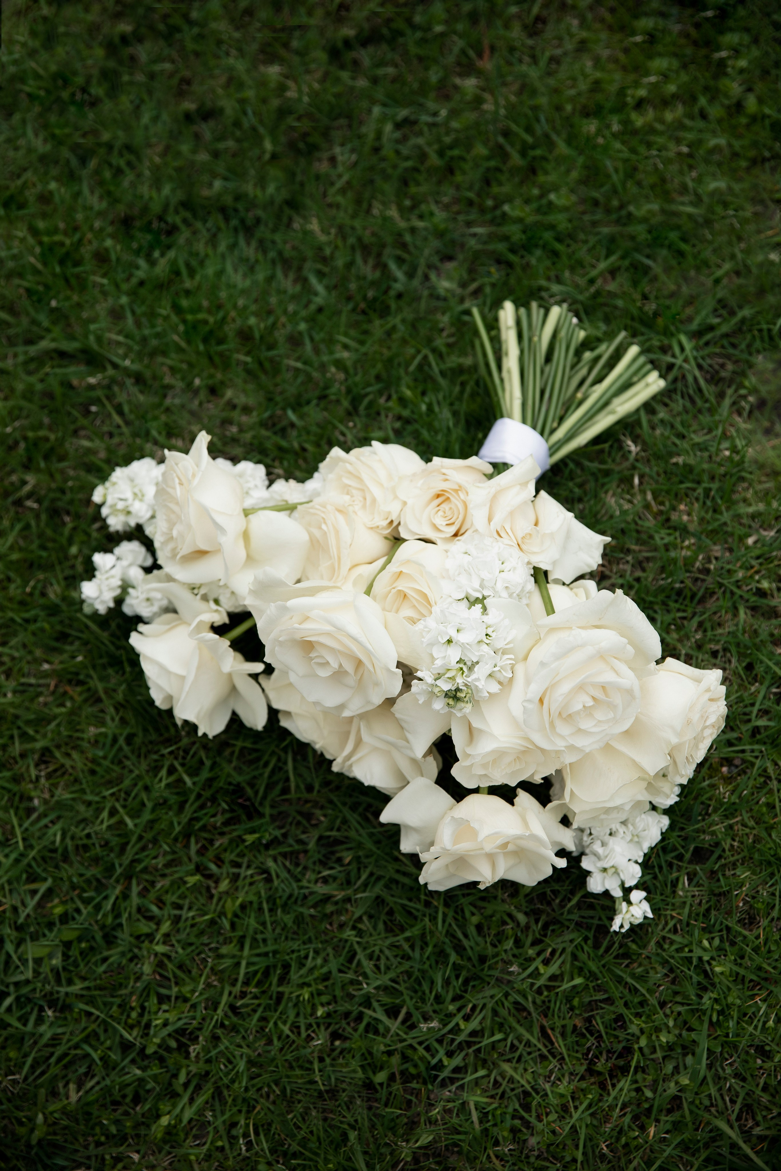 Софья и Юрий. Свадебный и портретный фотограф