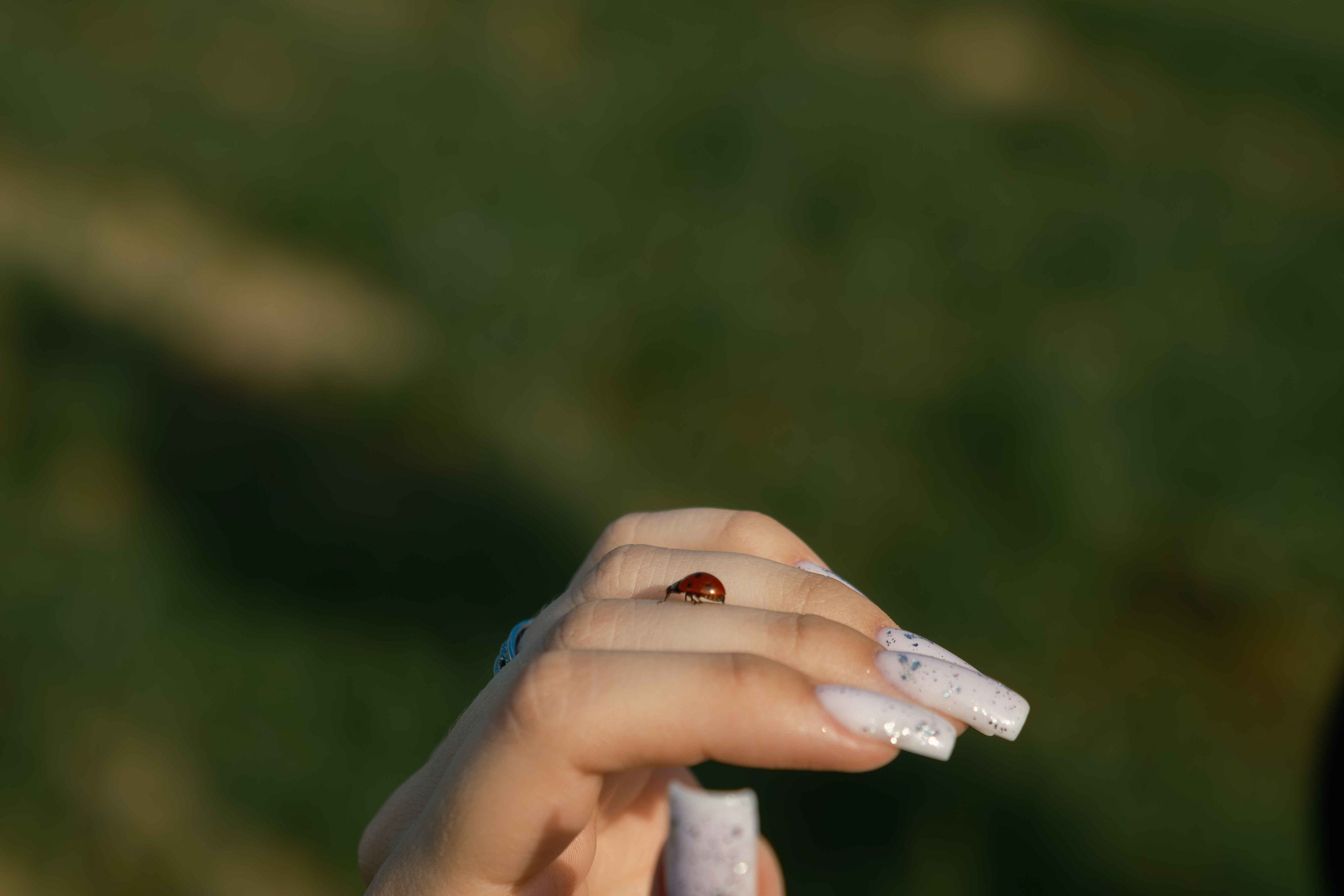 Никита & Злата. Свадебный фотограф Смоленск