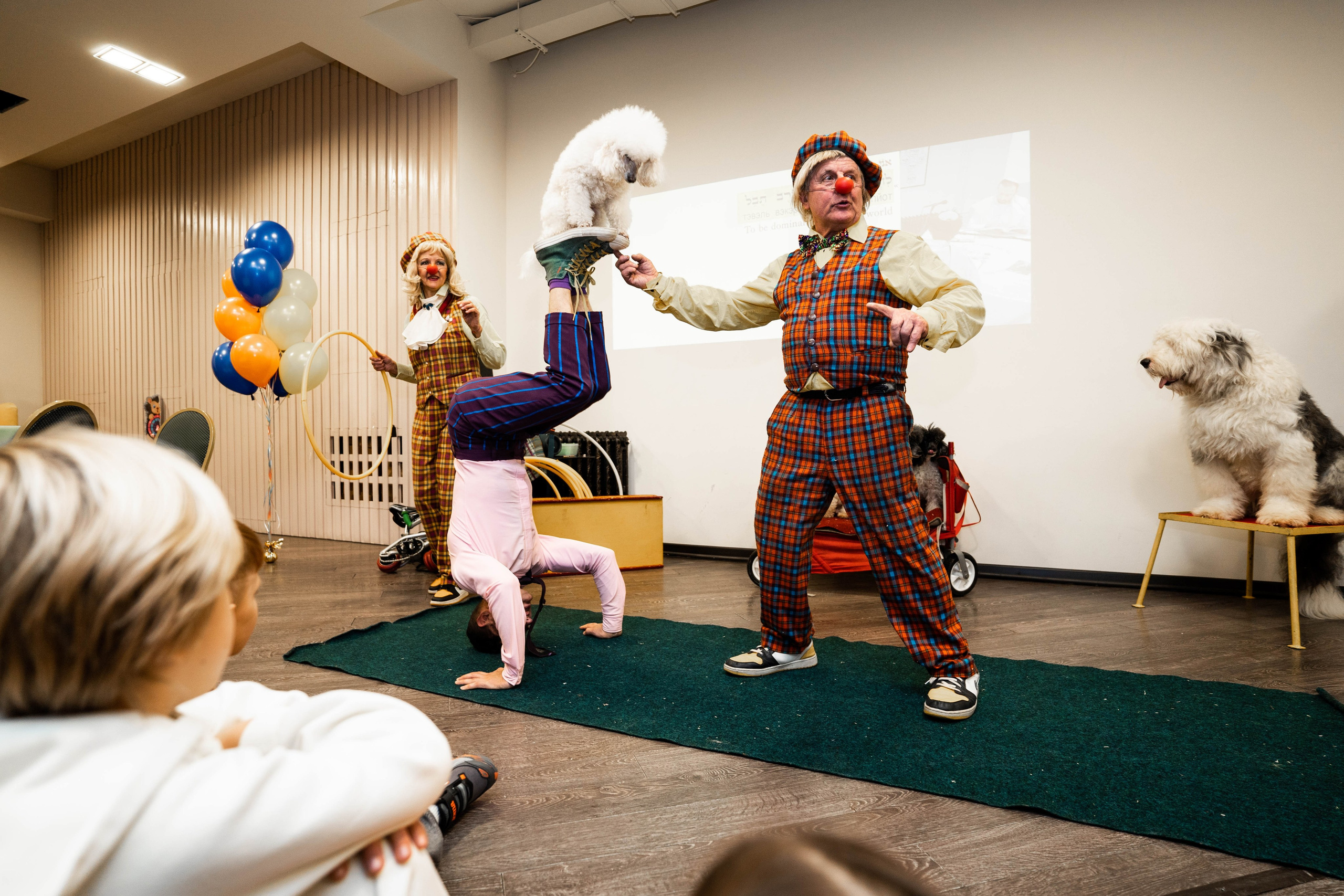 Даниэль h-day. Фотограф Абакумова Анастасия