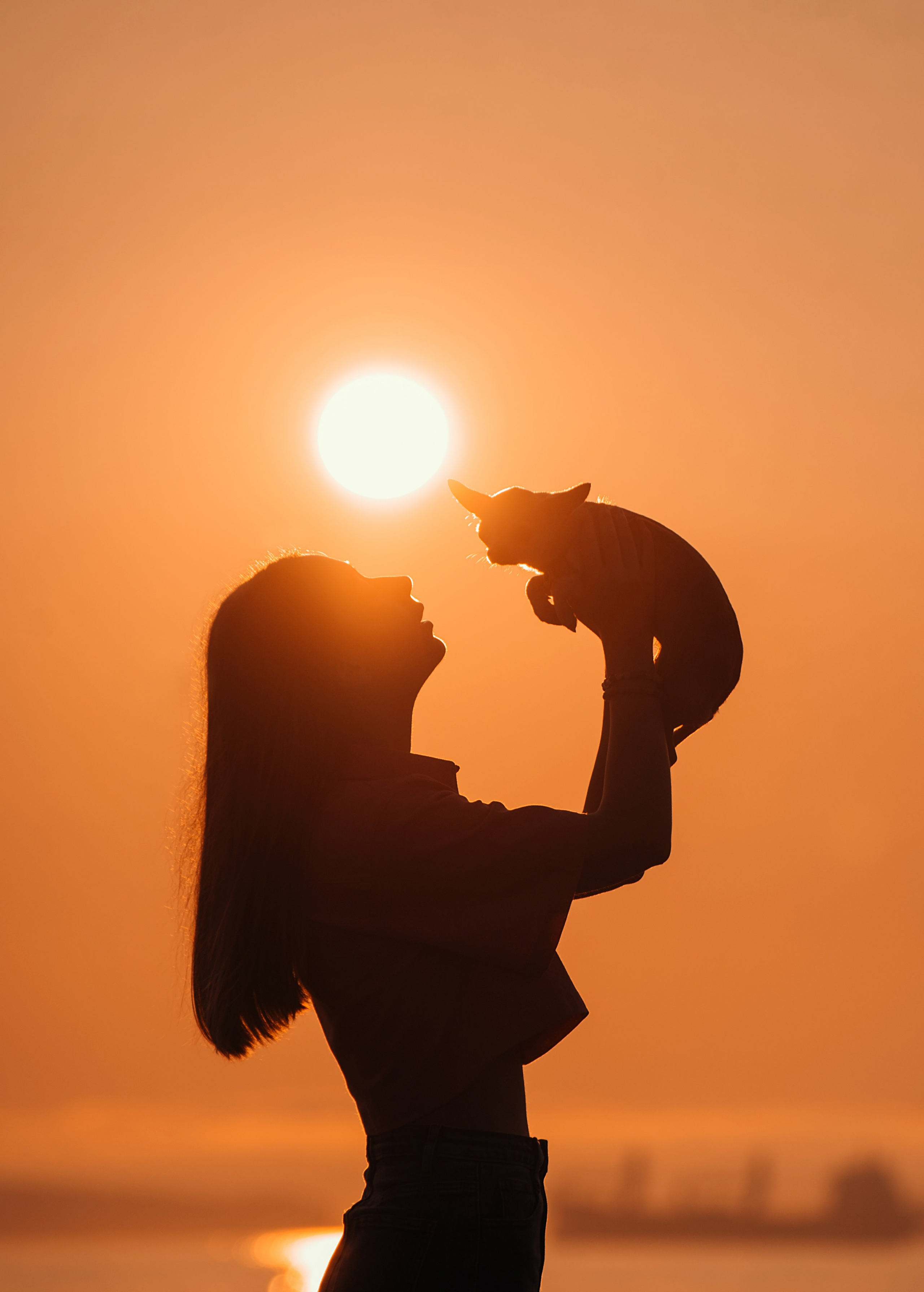 Прогулка: чихуахуа Хенни и Алина во Владивостоке. Портфолио