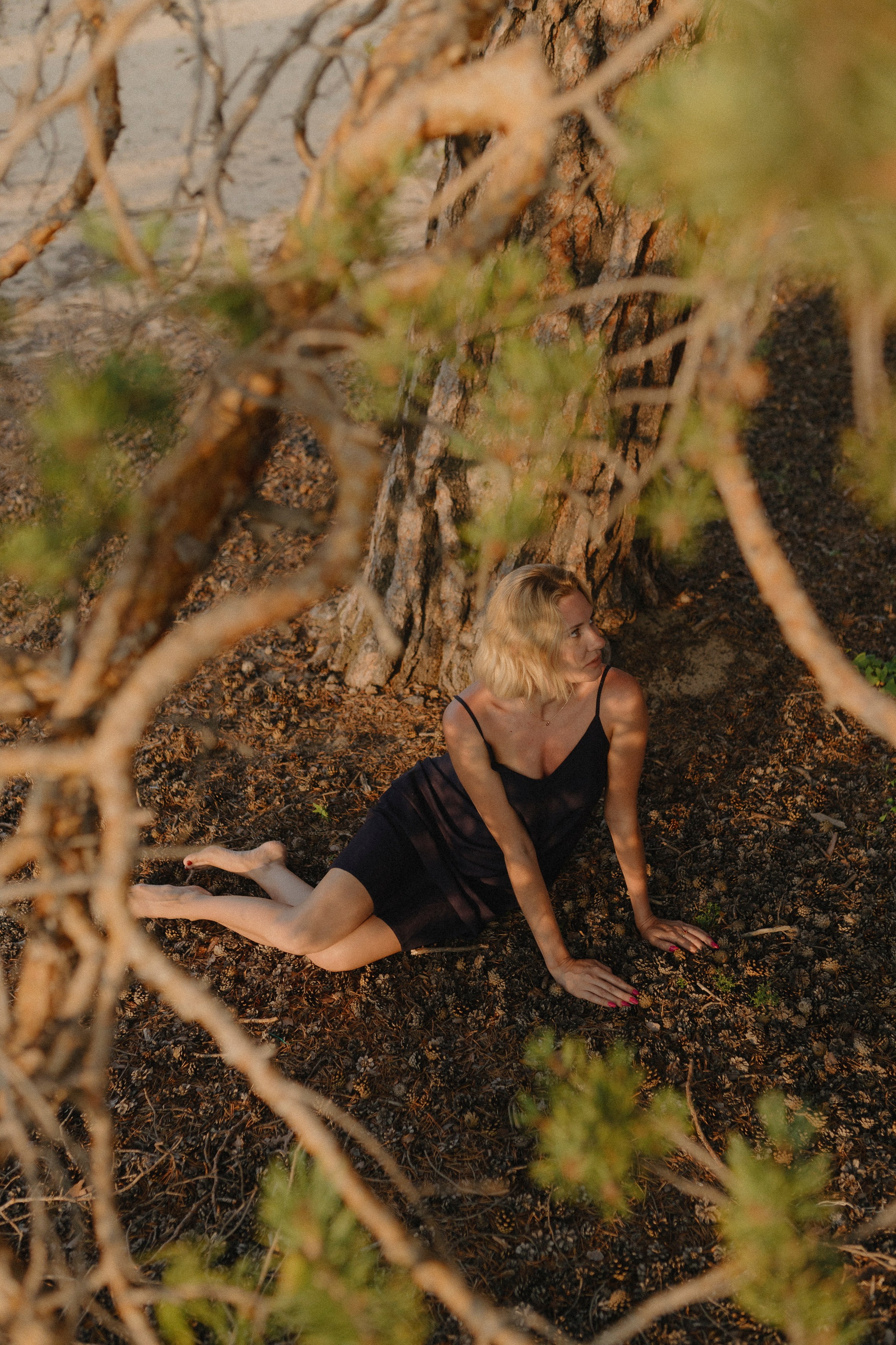 Цветок Ольхона. Фотограф Ольхон/ Индия, Регина