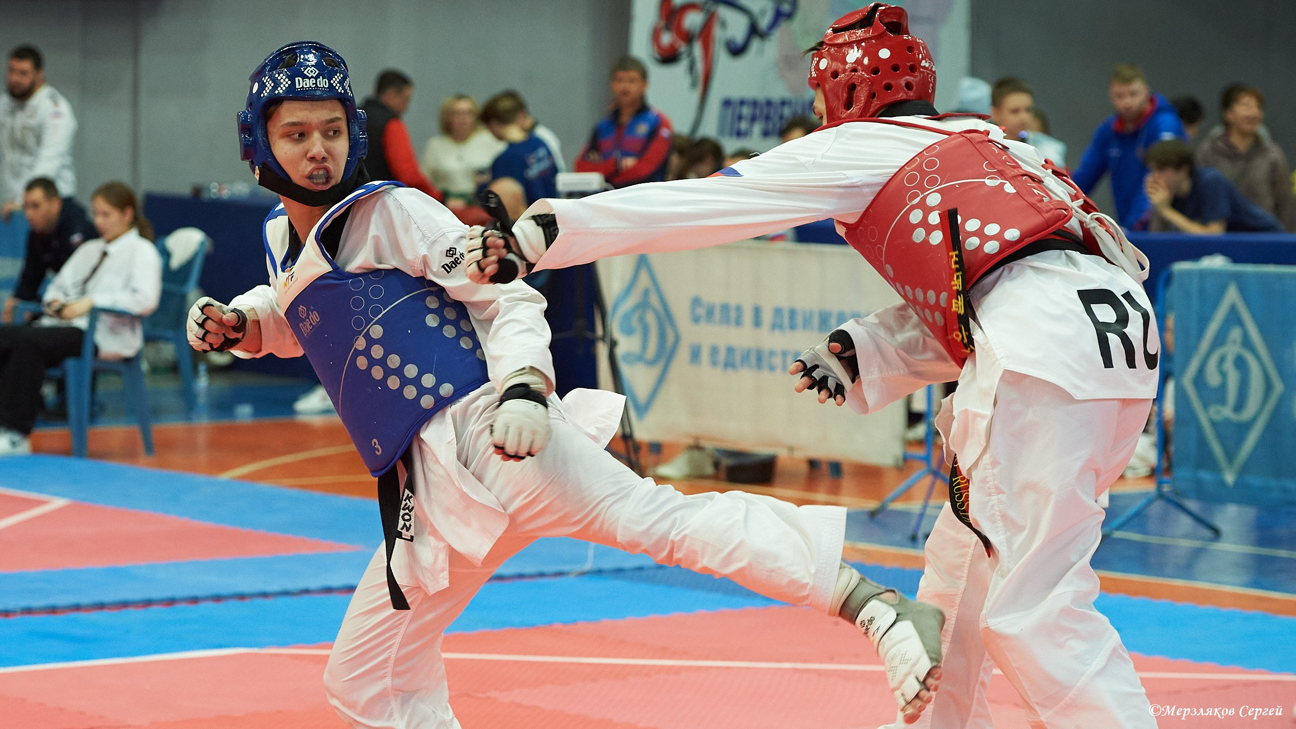 Тхэквондо. ПФО. Ижевск. 2023.02.12. Спортивный репортажный фотограф в Ижевске Сергей Мерзляков