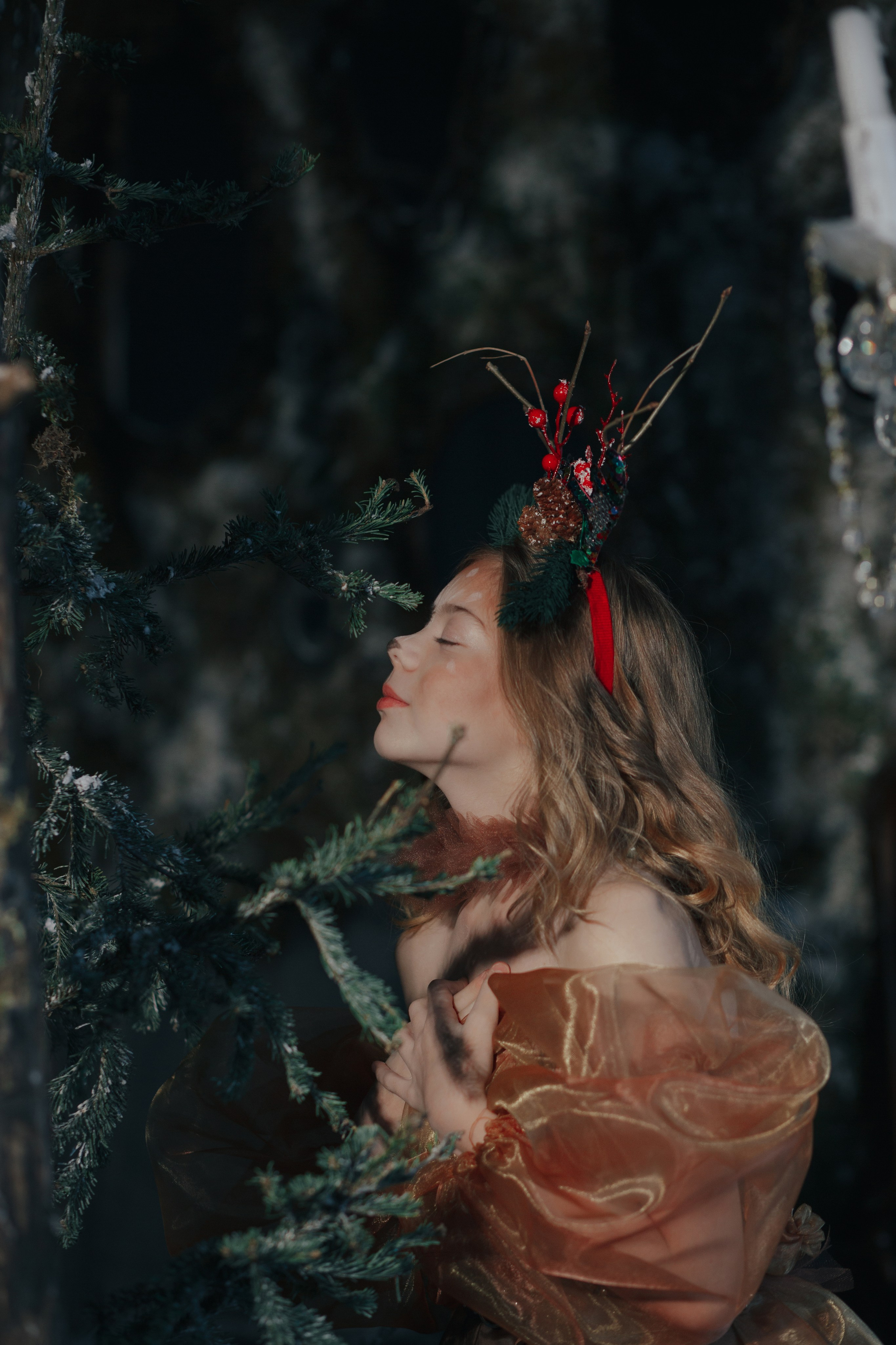 Сказки зимнего леса. Фотограф в Новосибирске Краснова Евгения