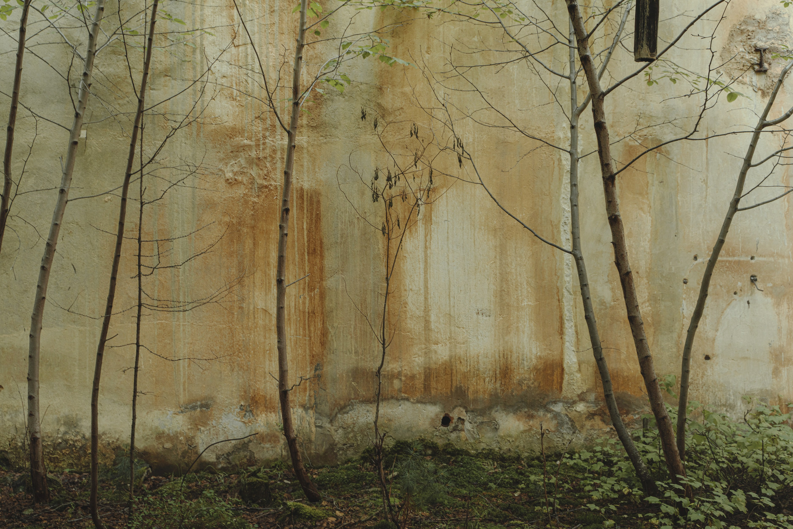 Планета Колыма. Элина Гусарова