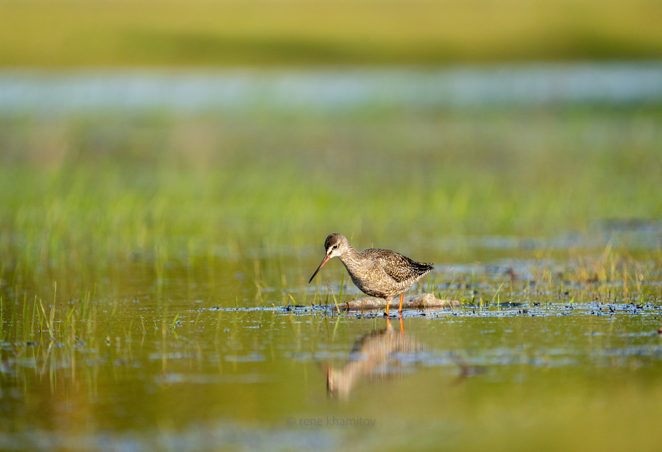 Olkhon Wild. Фотограф-любитель с Ольхона