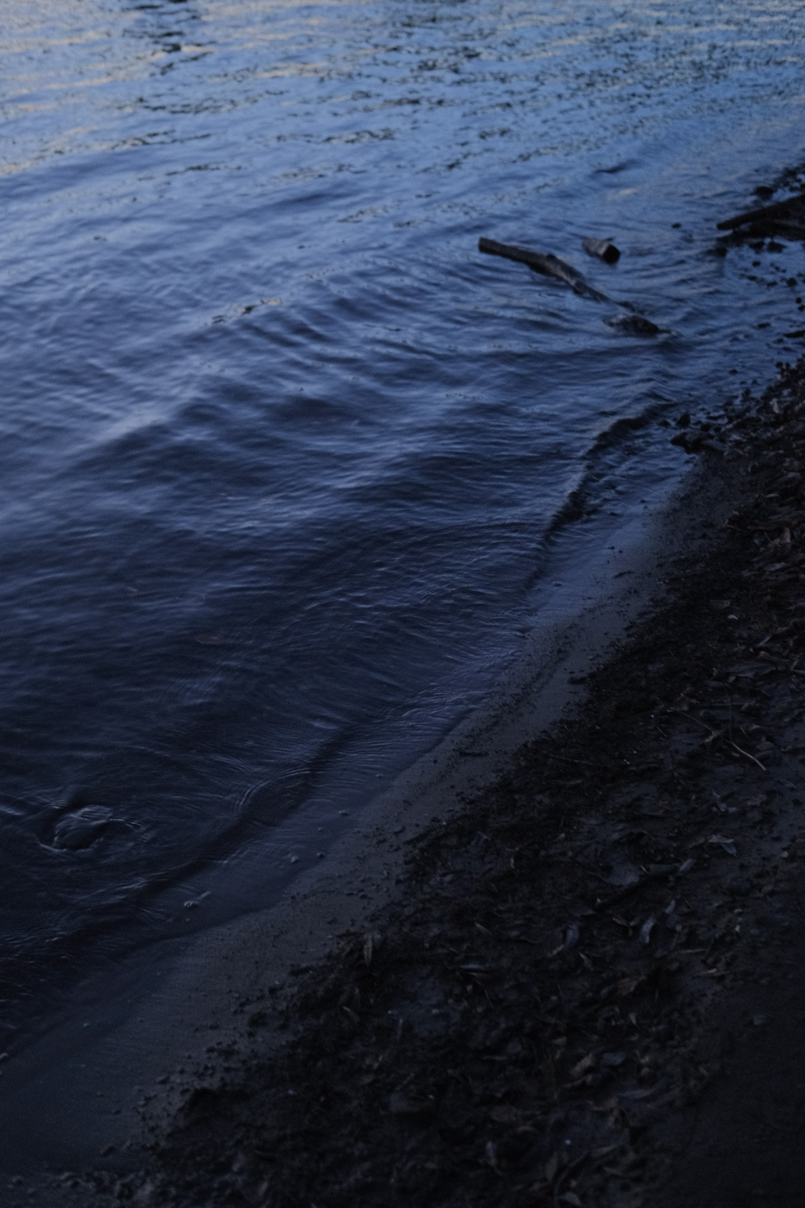 Наблюдения. Семейный фотограф в Новосибирске Артём Кузнецов