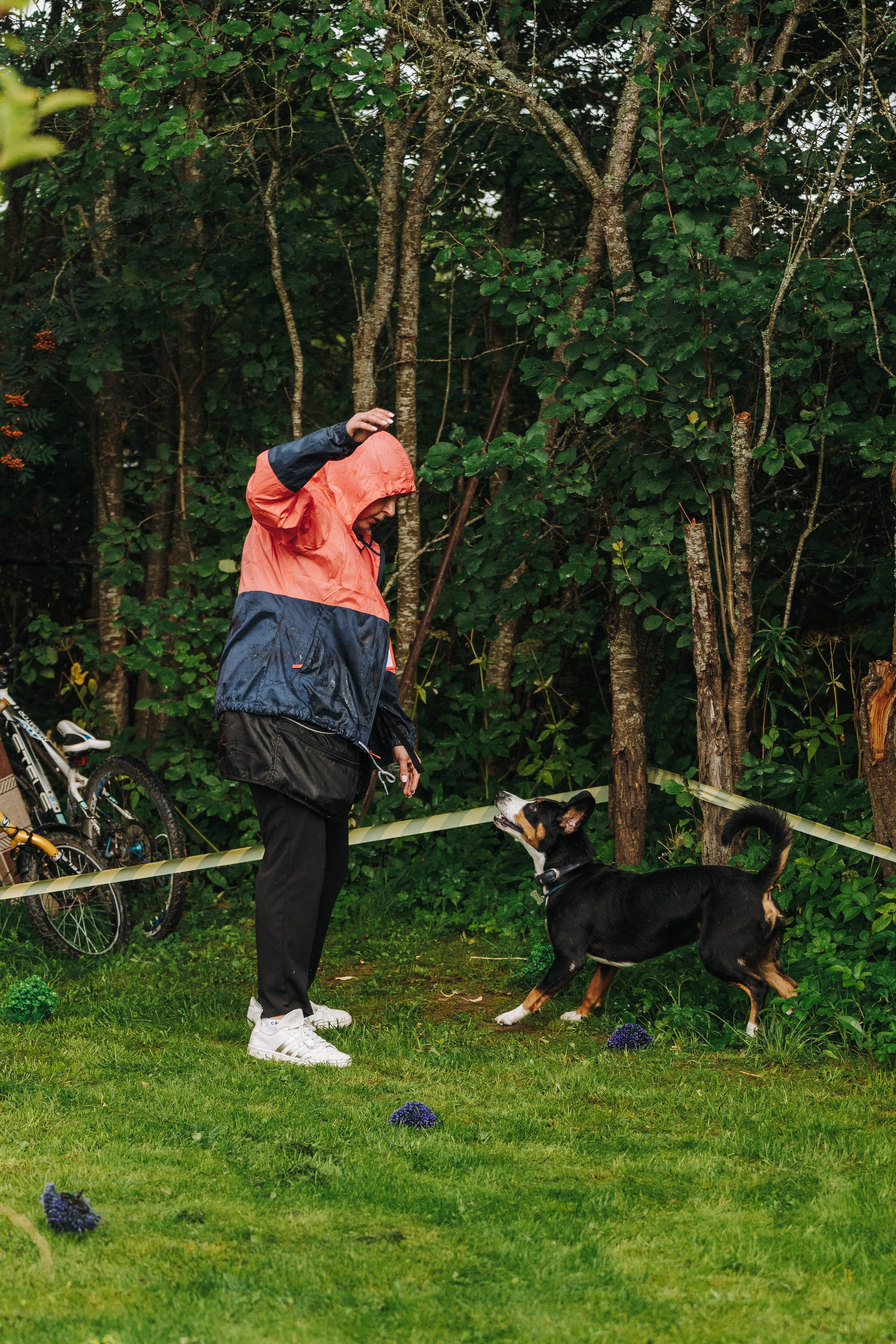 Соревнования по ноузворку в Новожилово. Фотограф анималист в Спб недорого Олеся Майорова