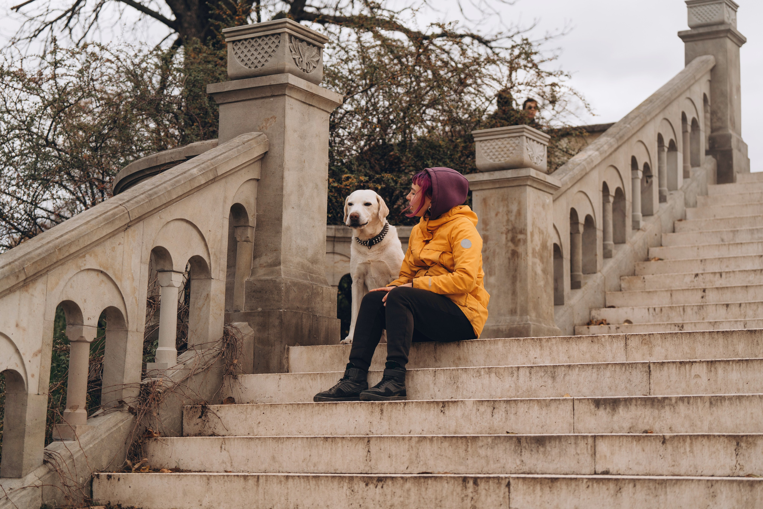 Вати, Лена и Леван. Фотограф анималист в Спб недорого Олеся Майорова
