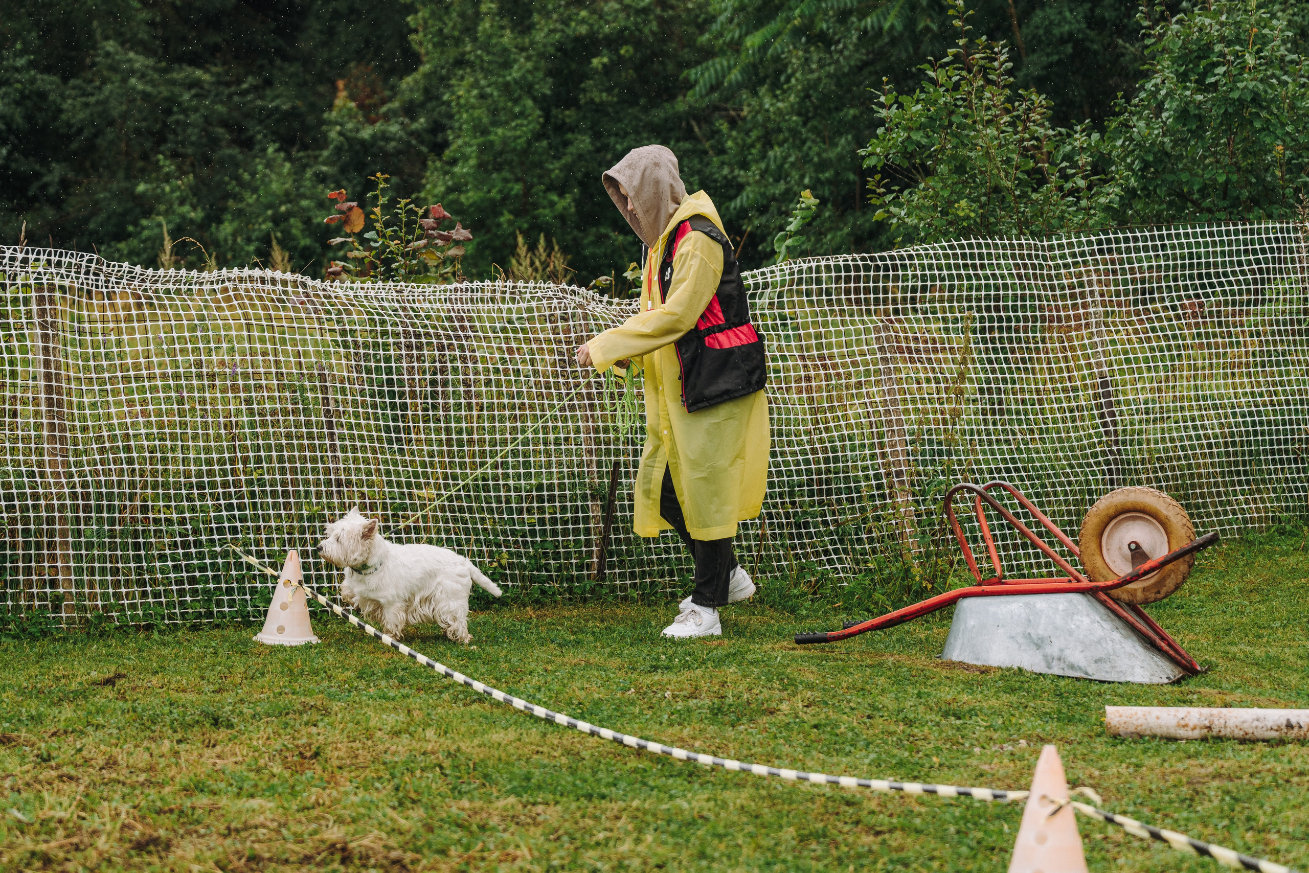 Соревнования по ноузворку в Новожилово. Фотограф анималист в Спб недорого Олеся Майорова