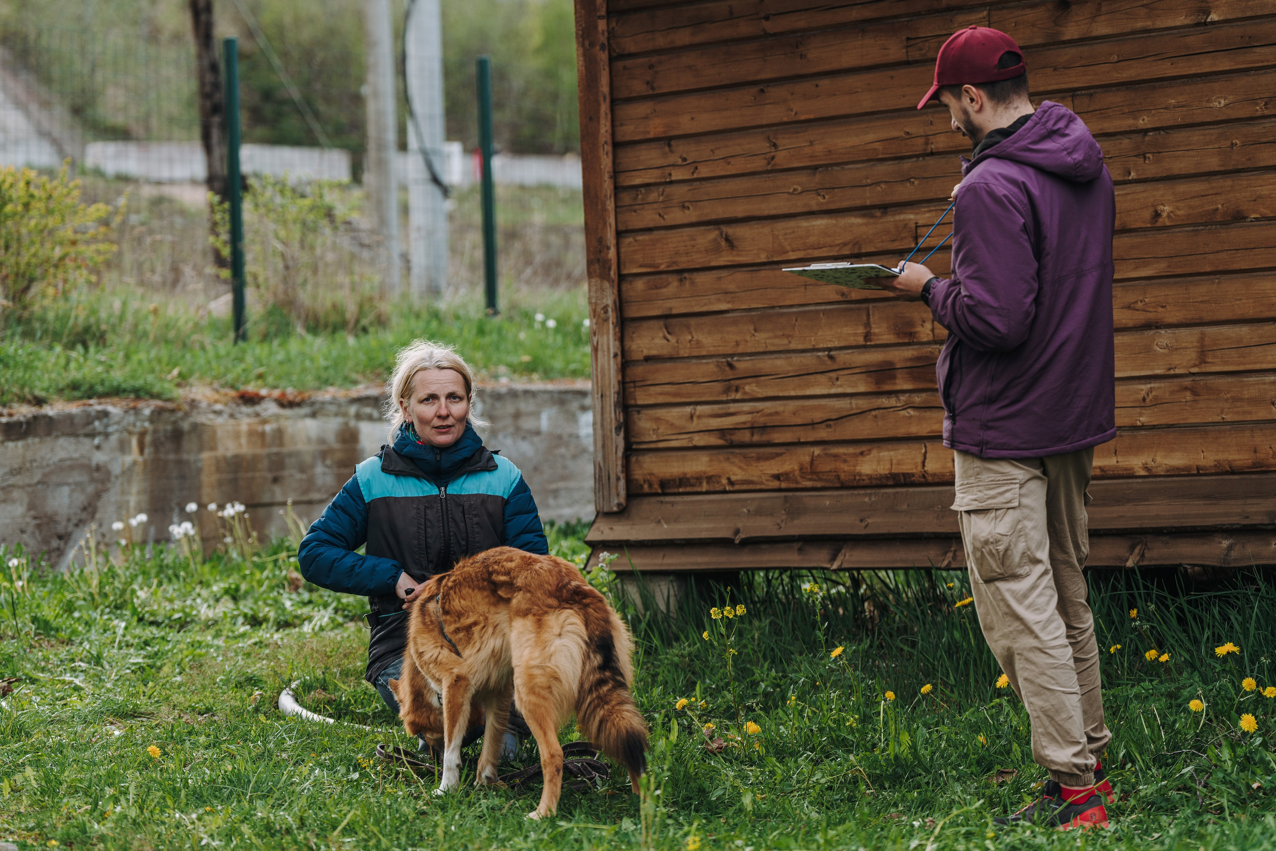 Соревнования по ноузворку в Лосево. Фотограф анималист в Спб недорого Олеся Майорова