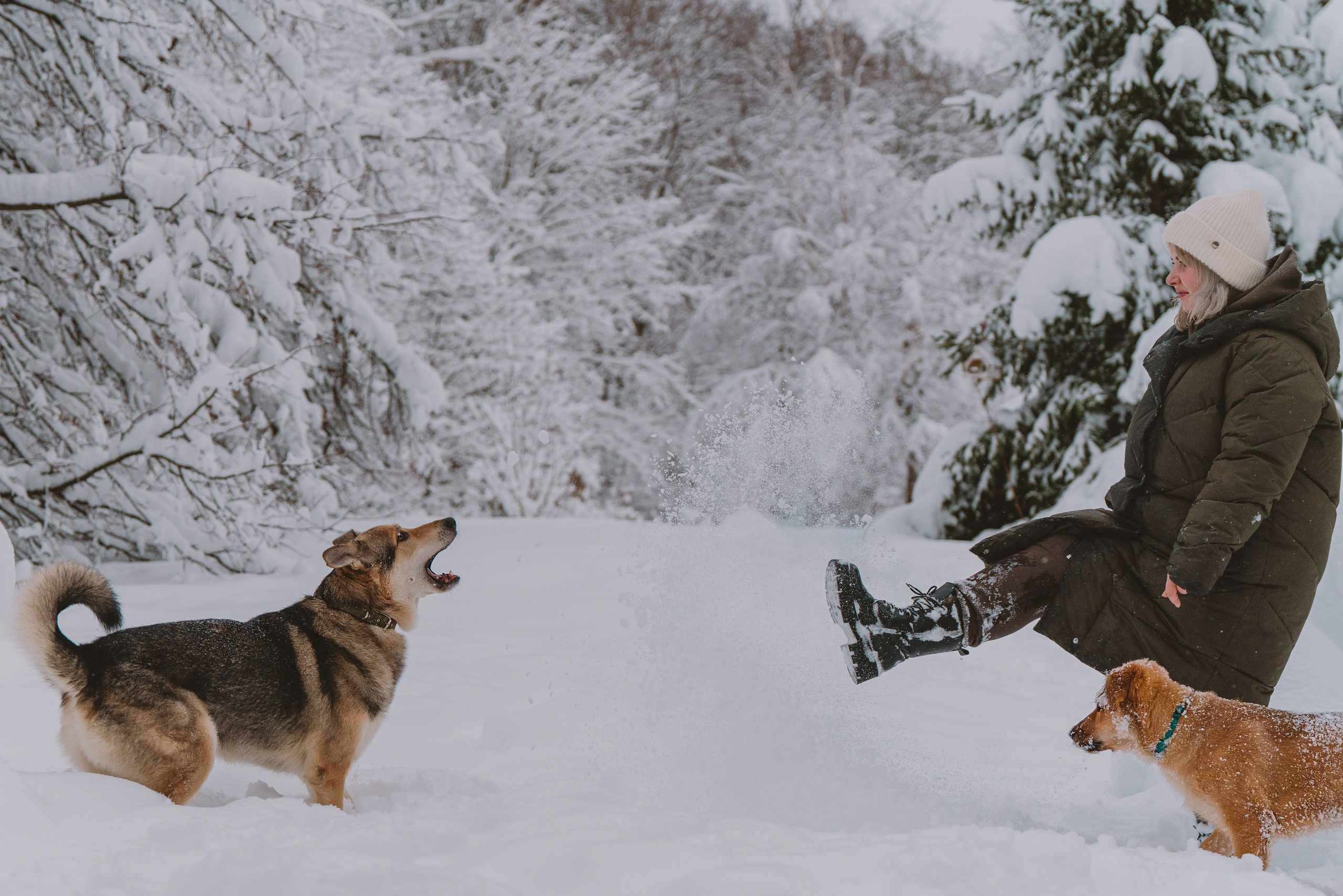 Фотосессия с питомцами на природе. Фотограф анималист в Спб недорого Олеся Майорова