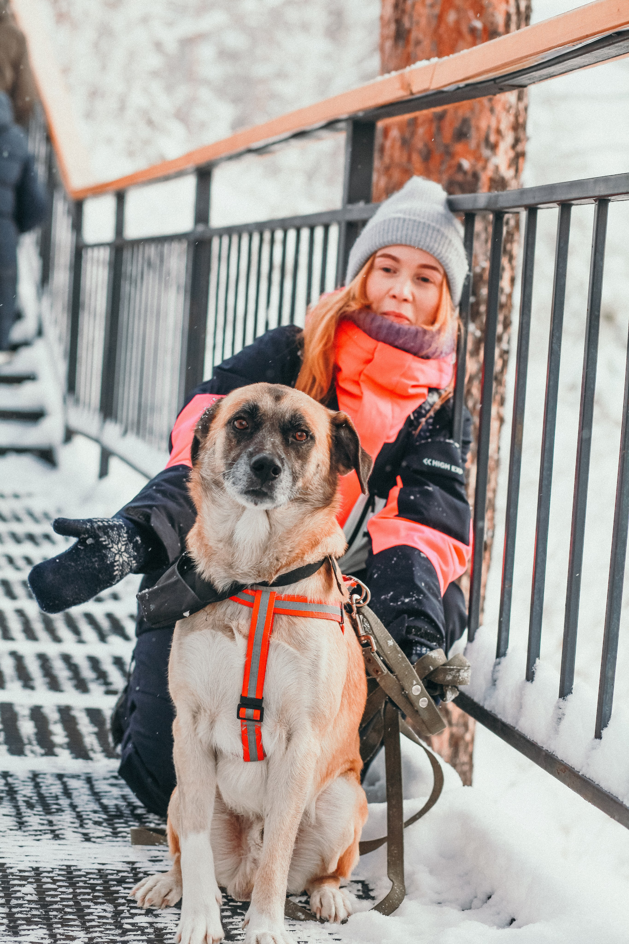 Фотосессии собак. Фотограф Дарья Локотко в Красноярске