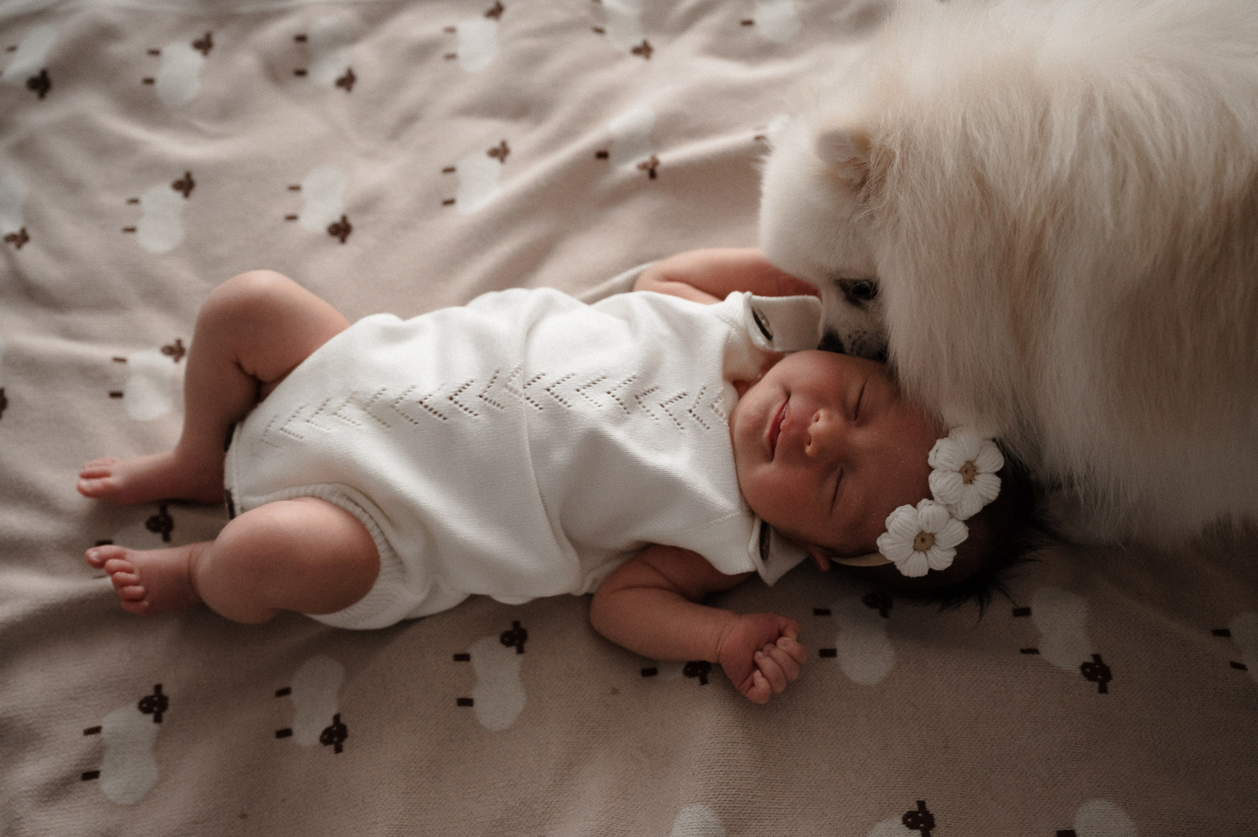 Домашняя съемка. Ньюборн и семейный фотограф в Нижнем Новгороде Надежда Веренчук