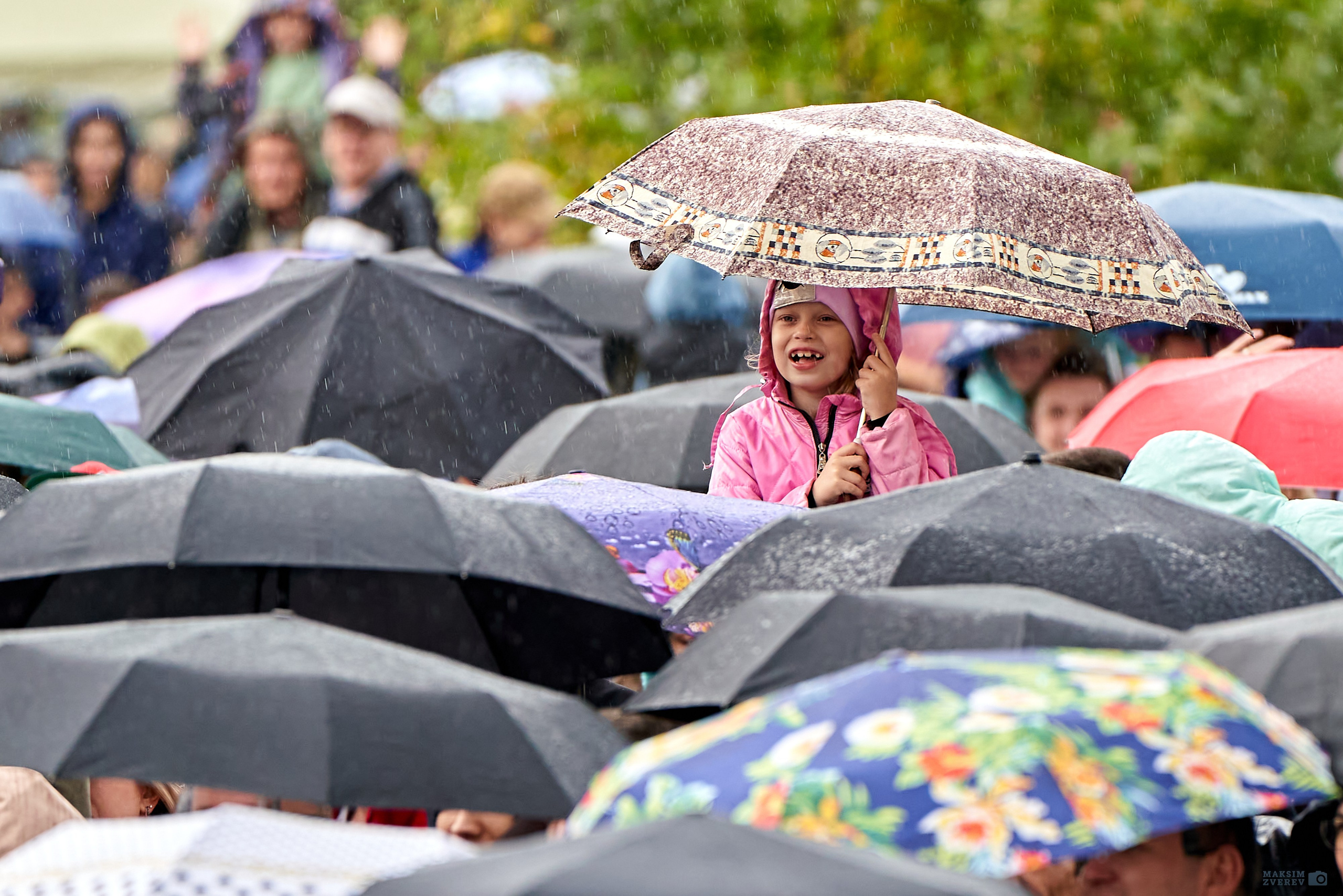 МЕРОПРИЯТИЯ. MAKSIM ZVEREV