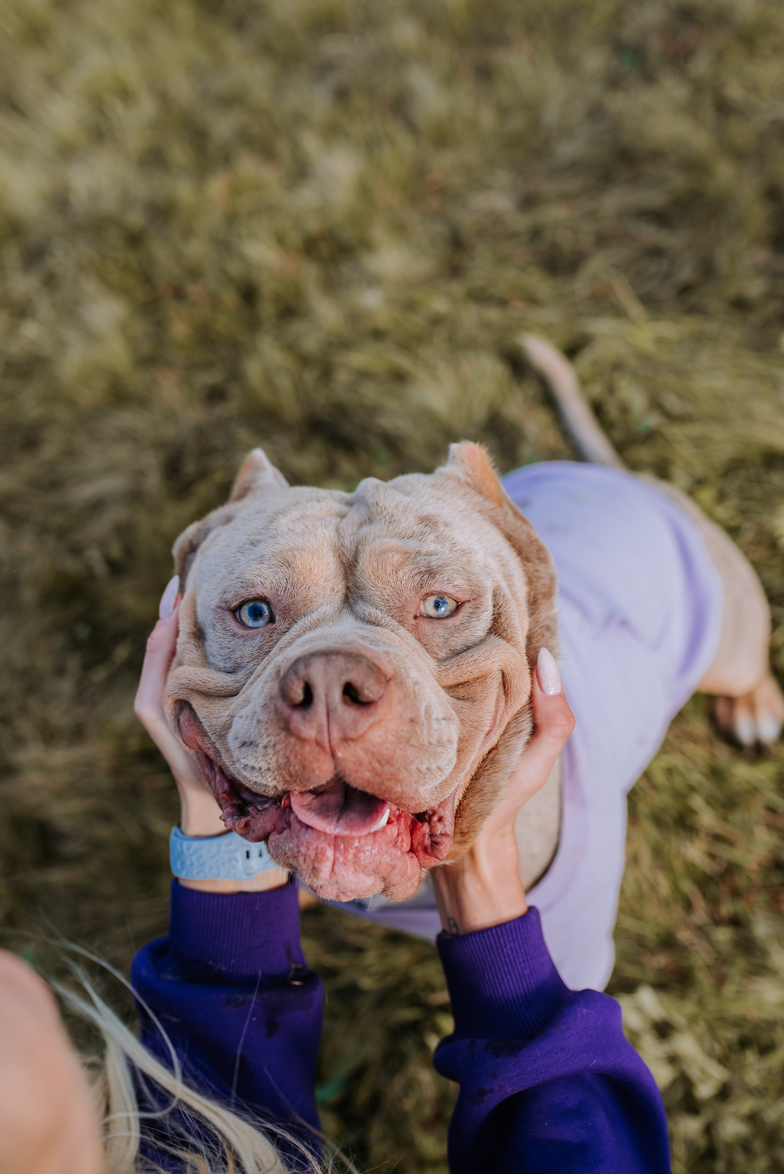 Фотопрогулка с питомцами. Фотограф Диана Оленина Красноярск / Братск