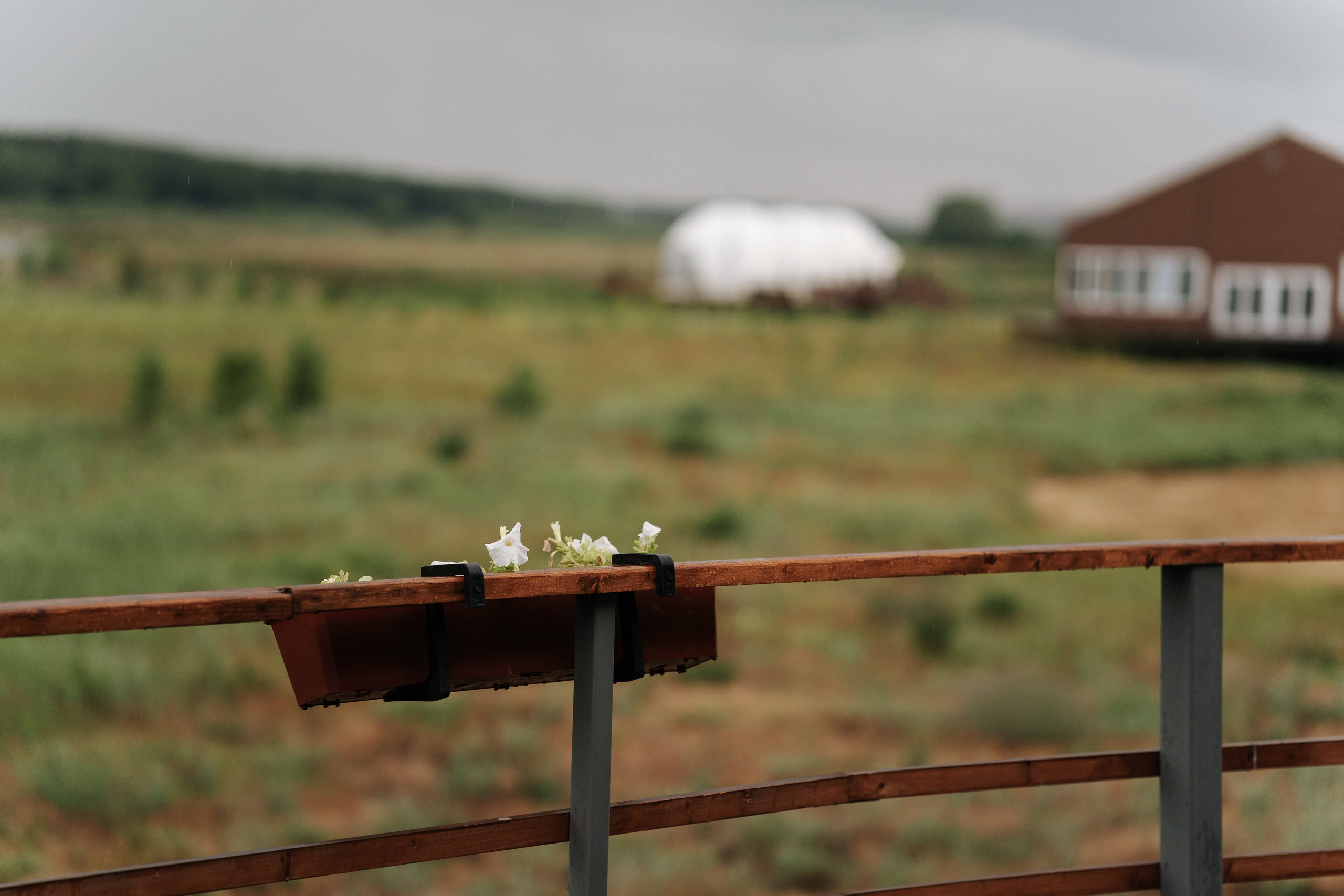 Artem & Elena. Свадебный фотограф в Воронеже Самохина Екатерина