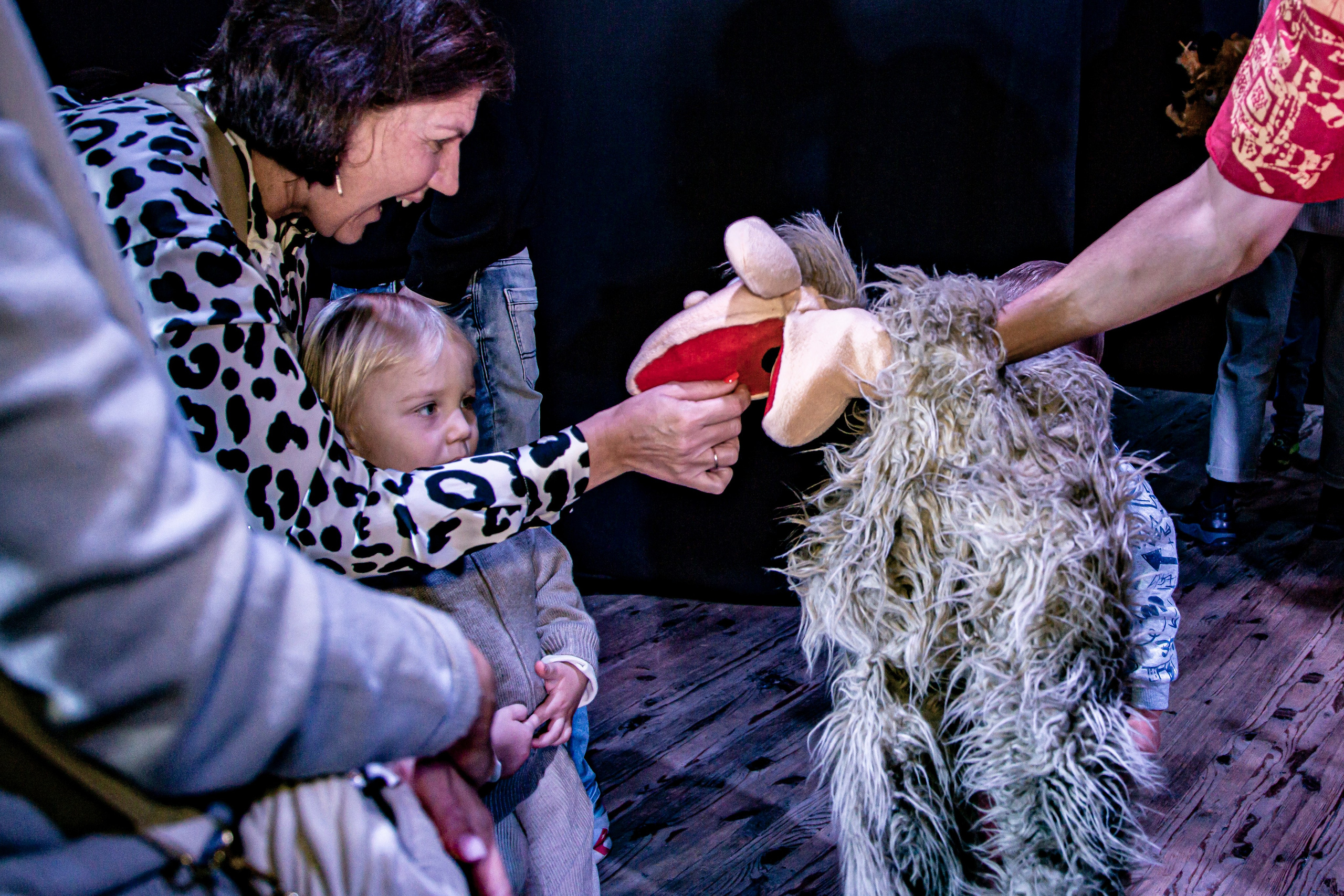 Любопытный слоненок спектакль театра Саквояж. Фотограф в Сочи Юрий Шептаев