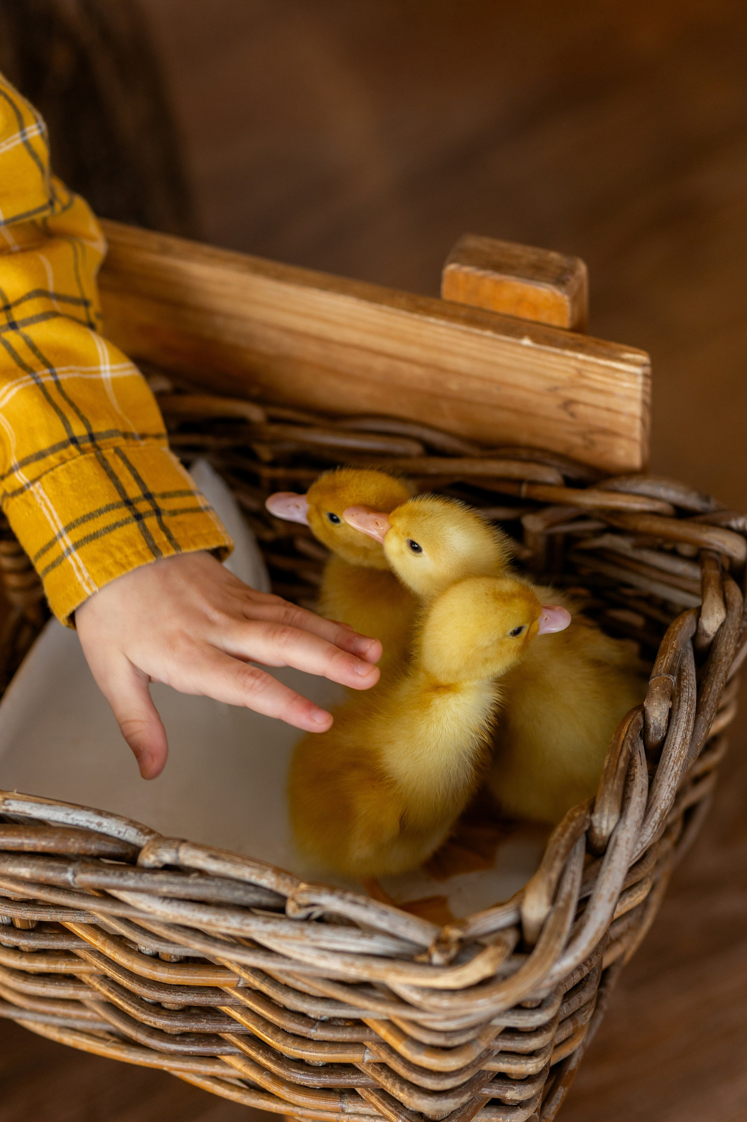 Денис к Пасхе. Семейный и женский фотограф в Ростове-на-Дону Екатерина Фитисова