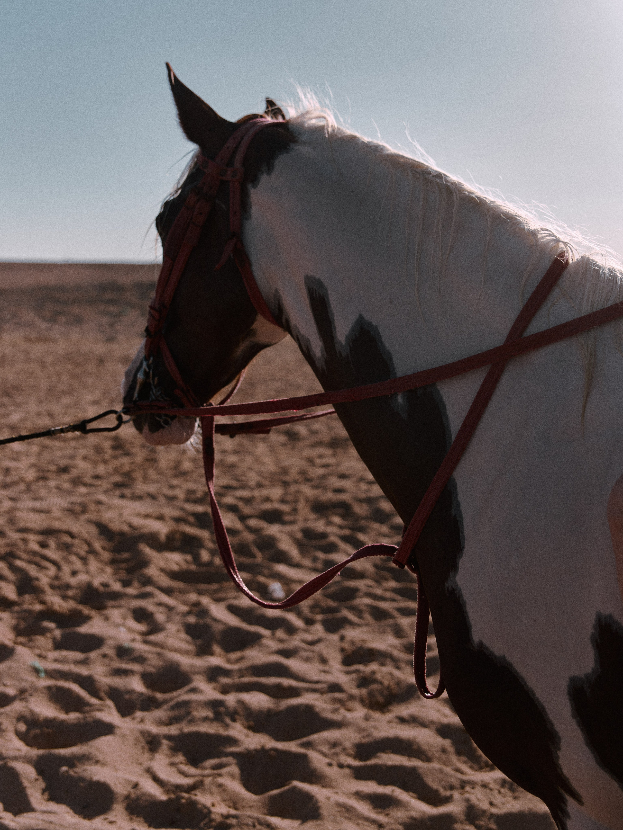 Другое 2. Jorgis Talè — photographer, kind person, teacher of arts and other mag