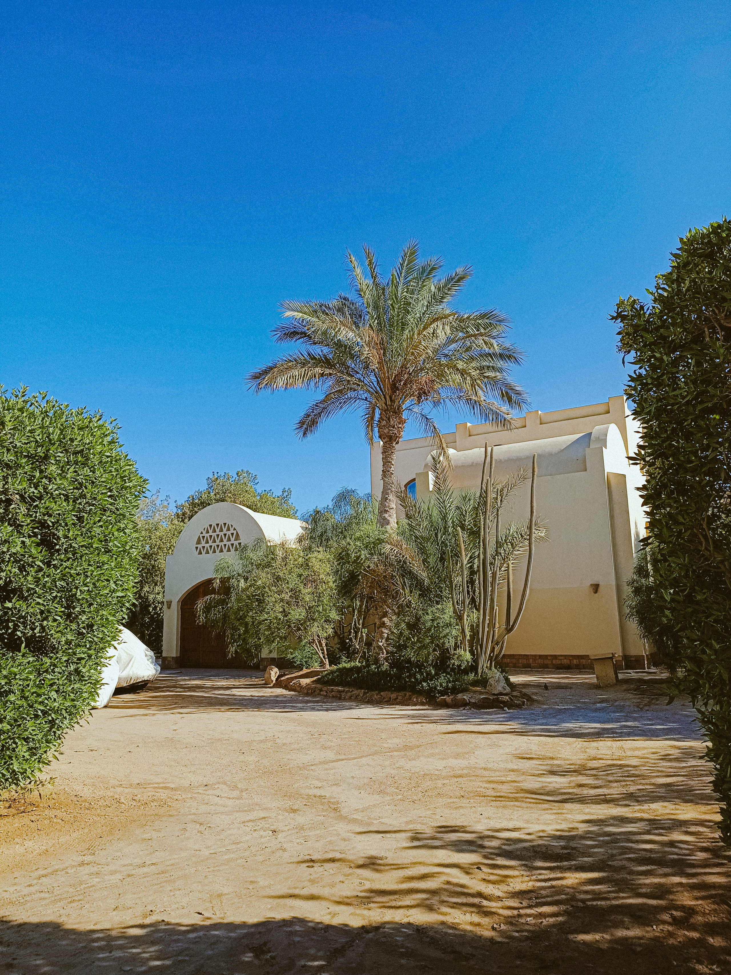 Мобильная. Jorgis — фотограф в Хургаде / обучение фотографии