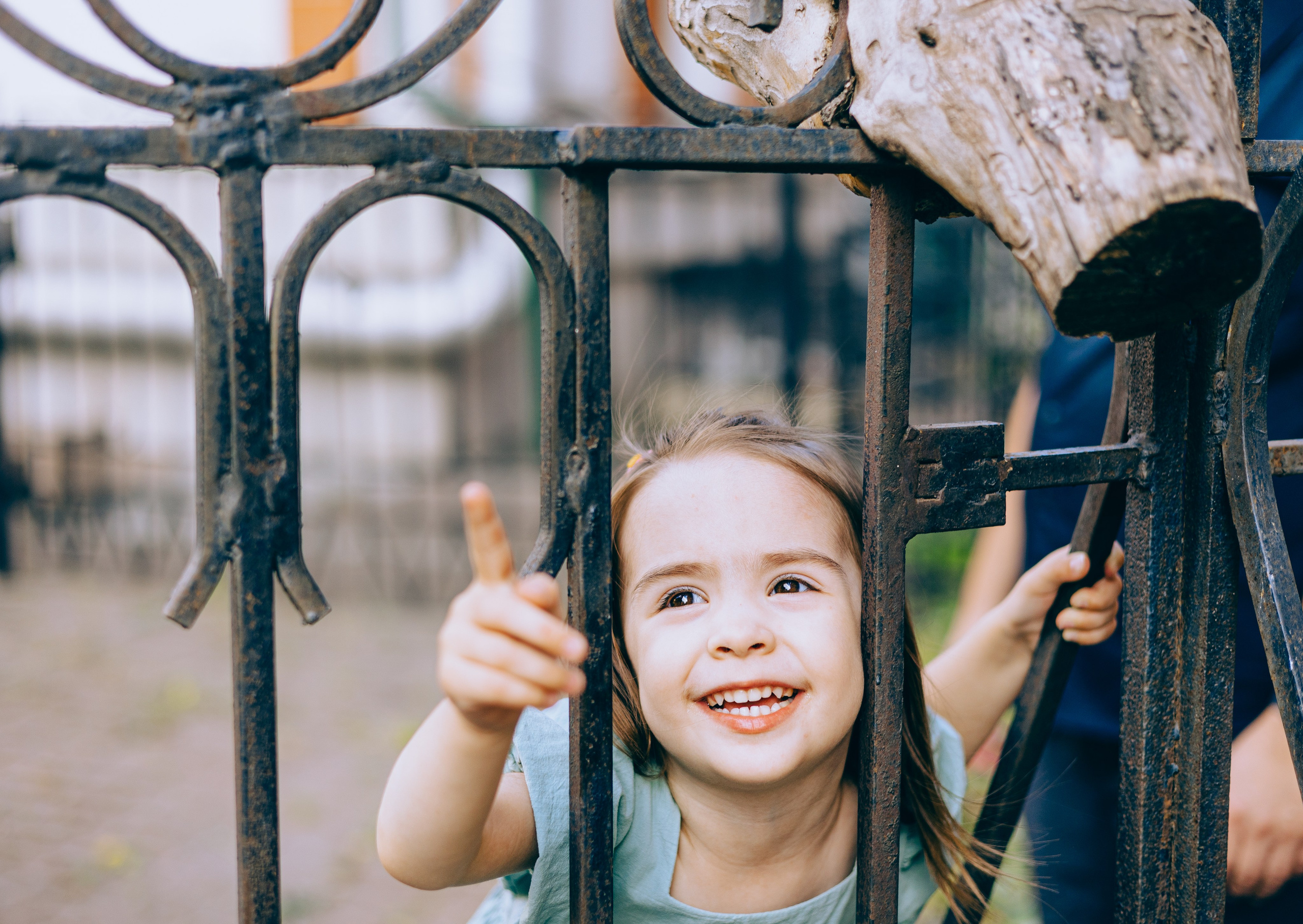 Анастасия и Алексей и их Большая Семья