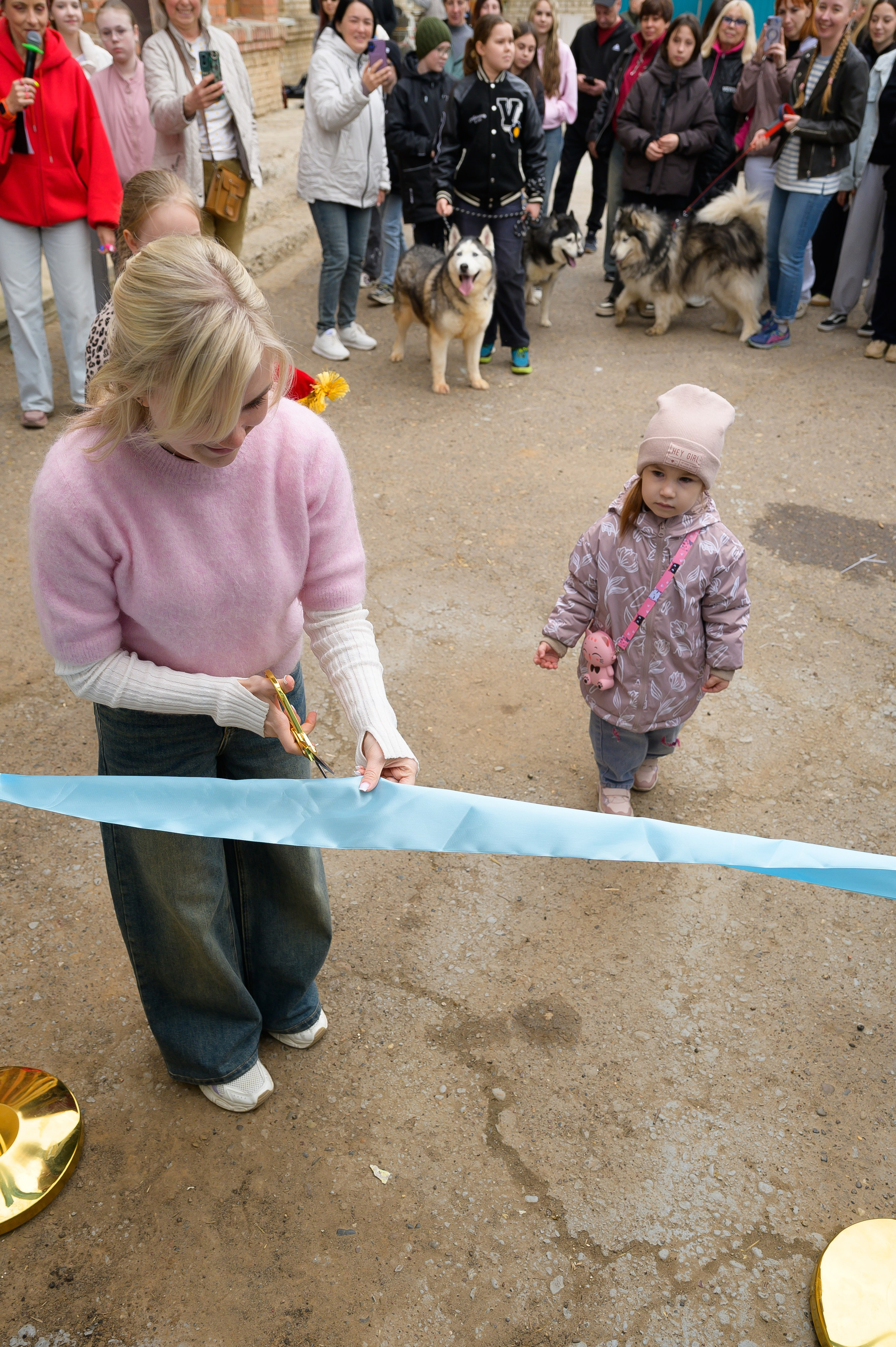Открытие приюта для собак породы Хаски «Хаски дом»